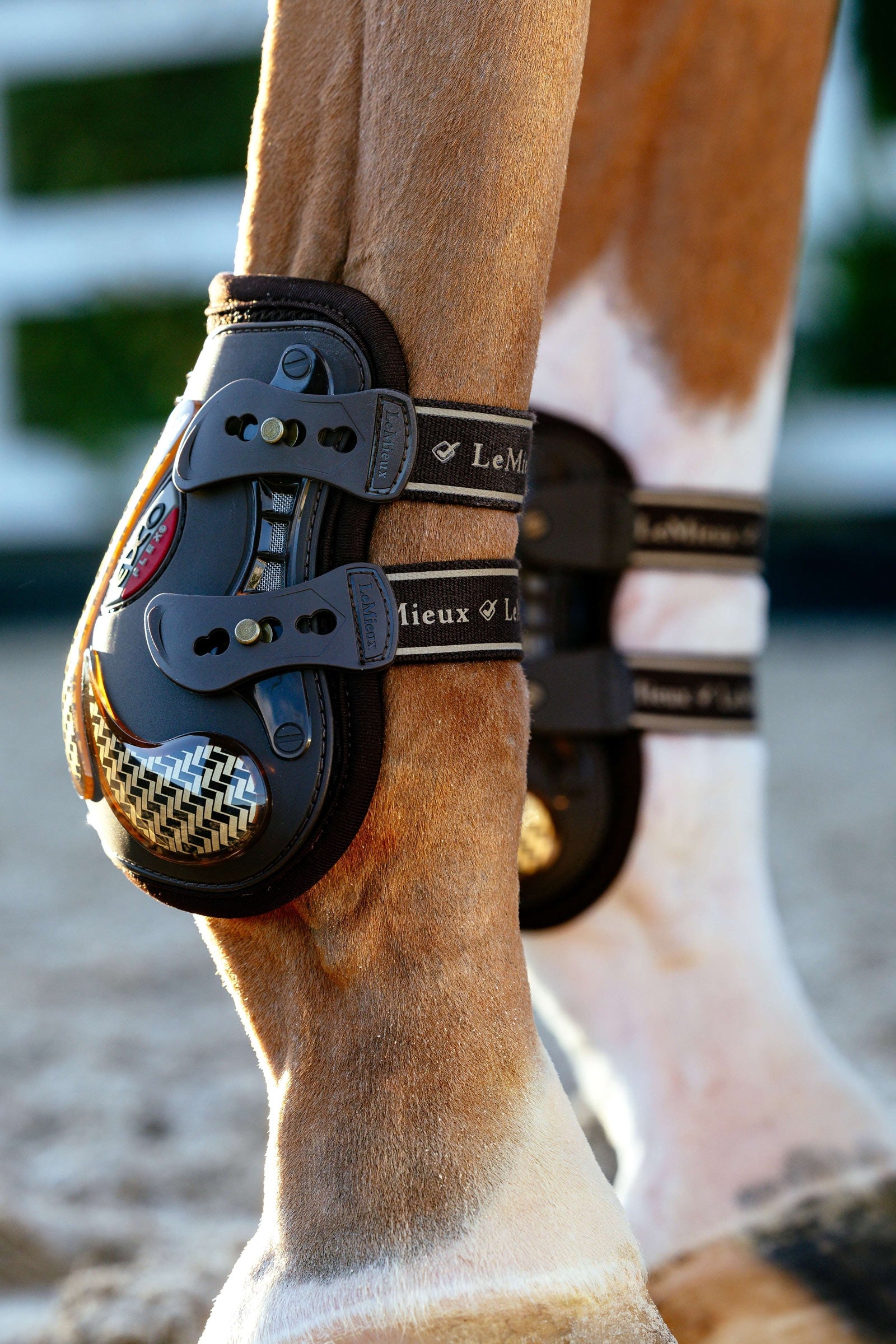 LeMieux EXO Flex Ankle Boots Leg Protection & Hoof Protection for Horses