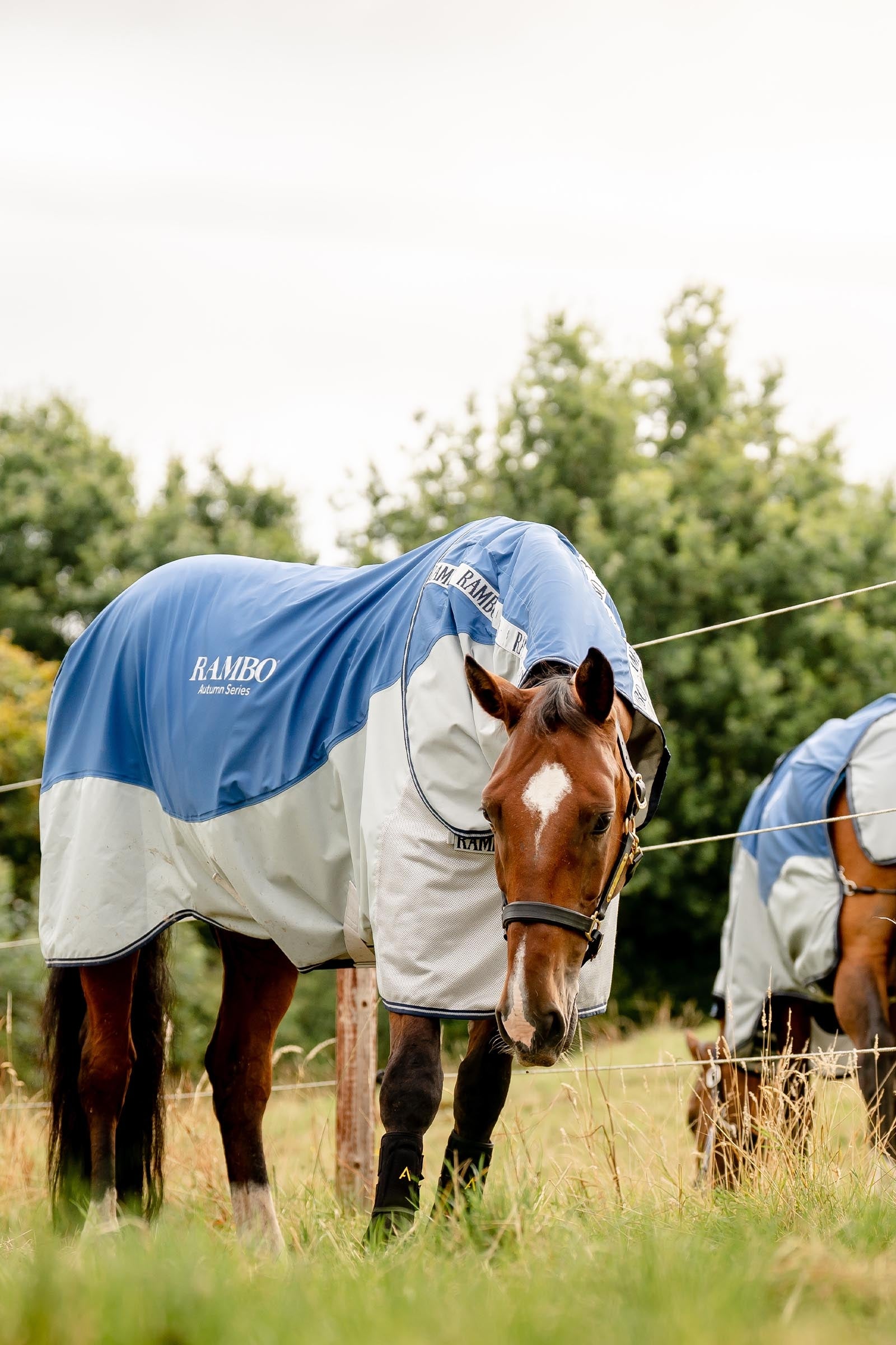 Horseware Rambo Autumn Series Turnout Rug With Liner (0g / 100g) Horse Rugs