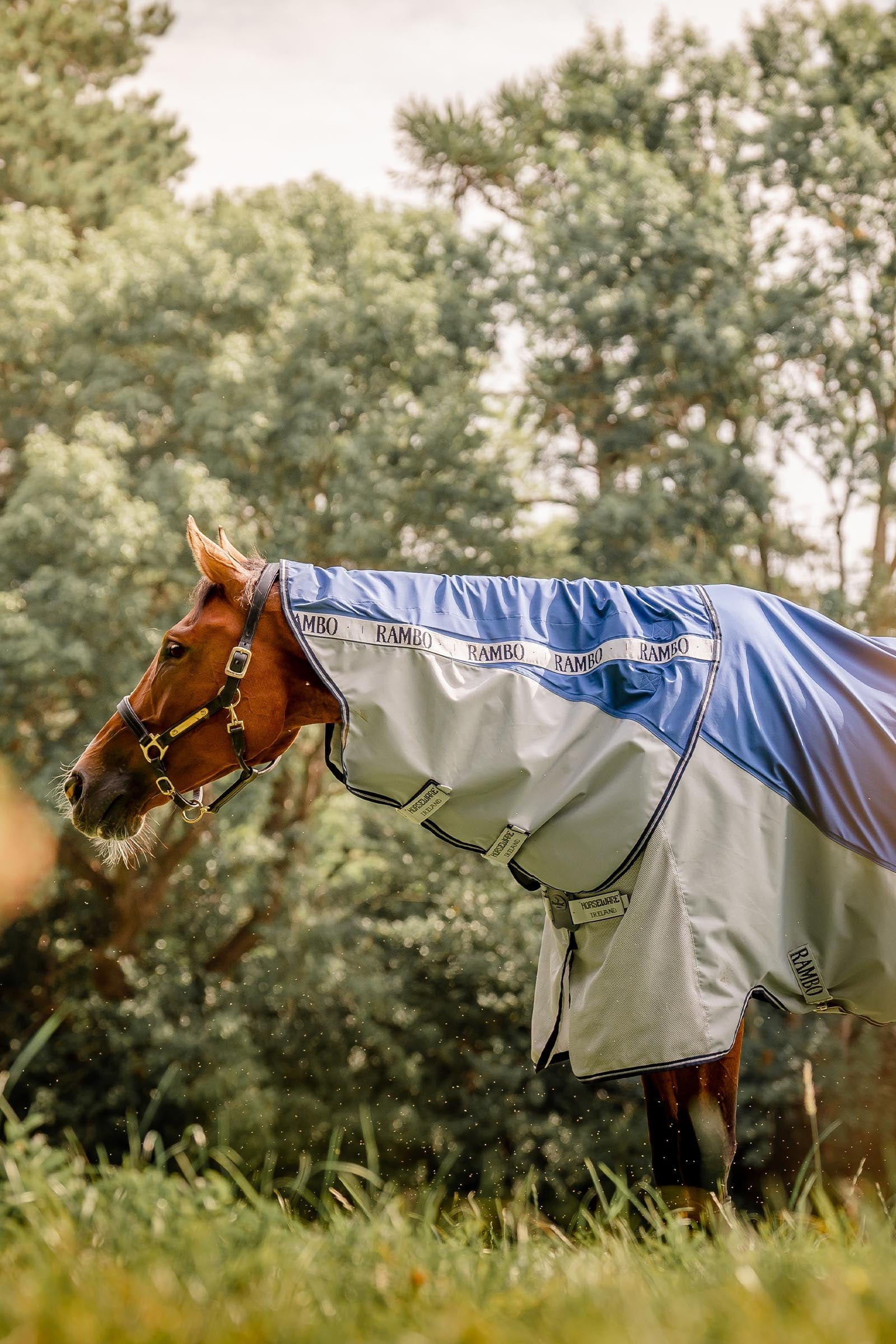 Horseware Rambo Autumn Series Turnout Rug With Liner (0g / 100g) Horse Rugs
