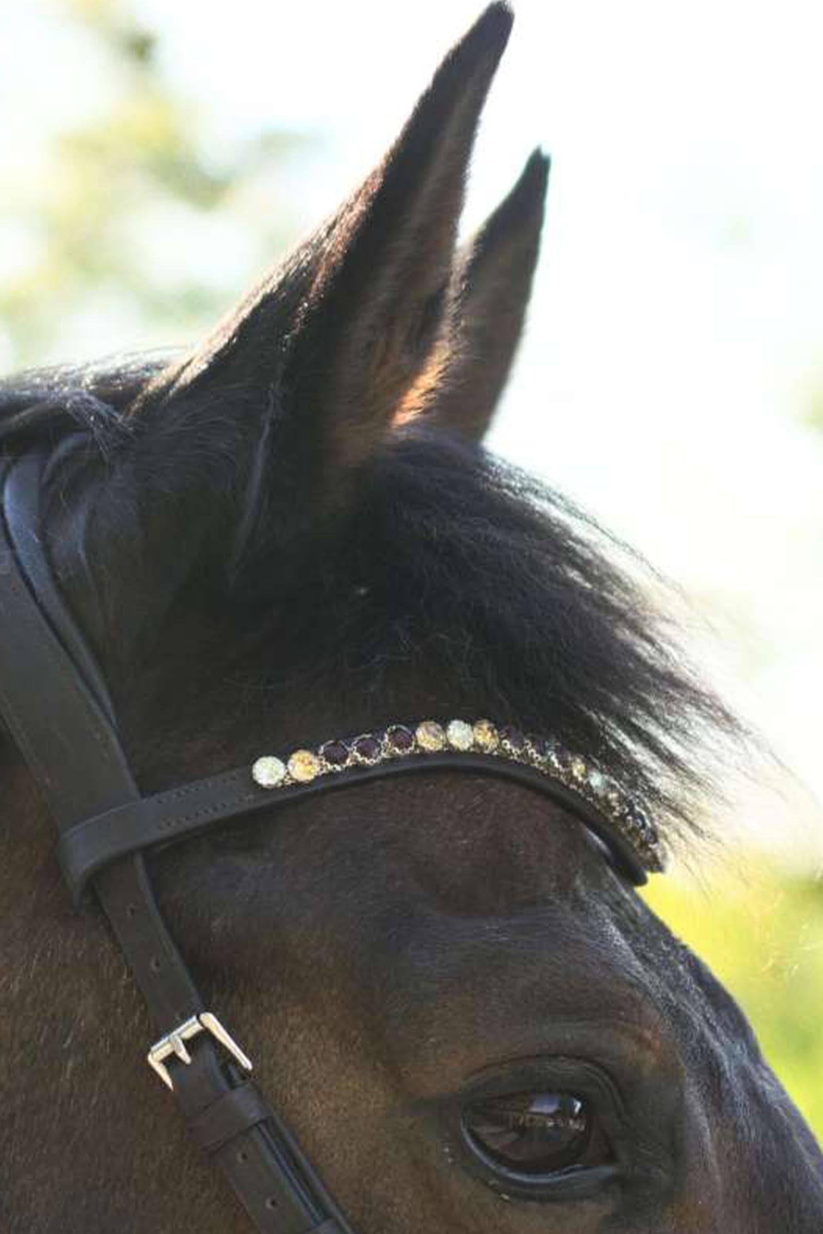 Kavalkade Light Bitless Bridle With English Noseband Bridles & Reins