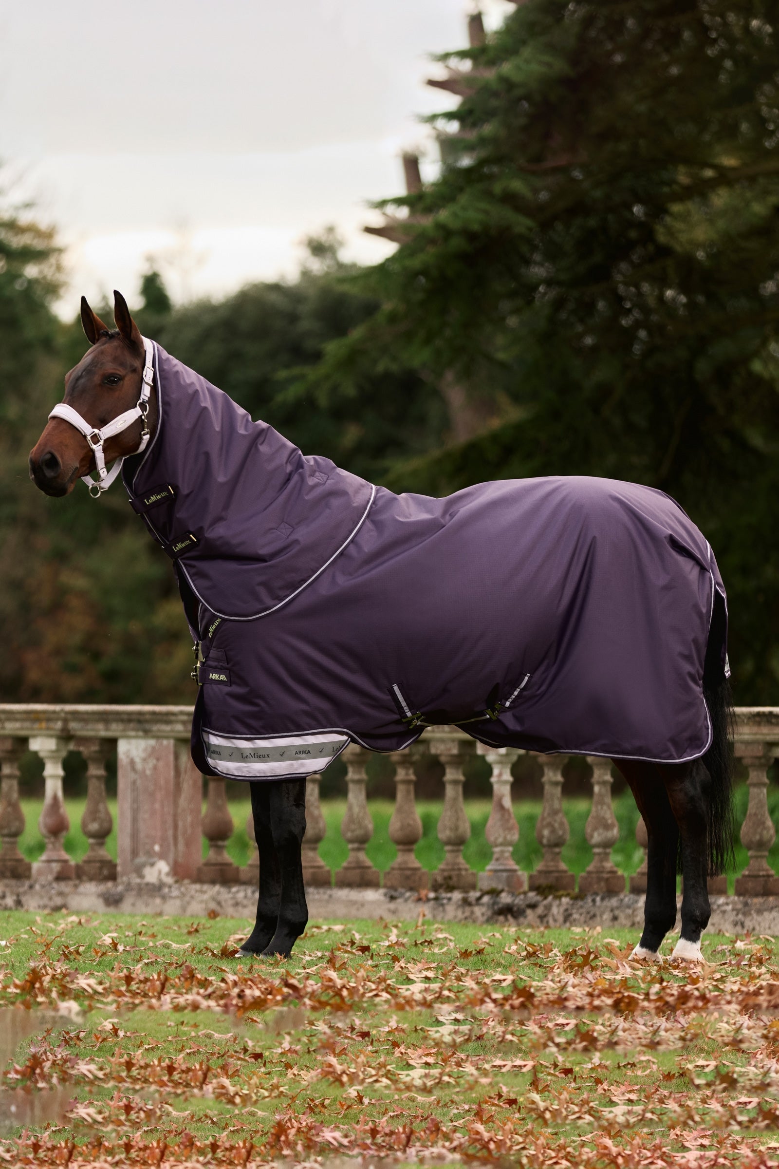 LeMieux Arika Ripstop Turnout Rug With Detachable Neck, 0 g Loimet