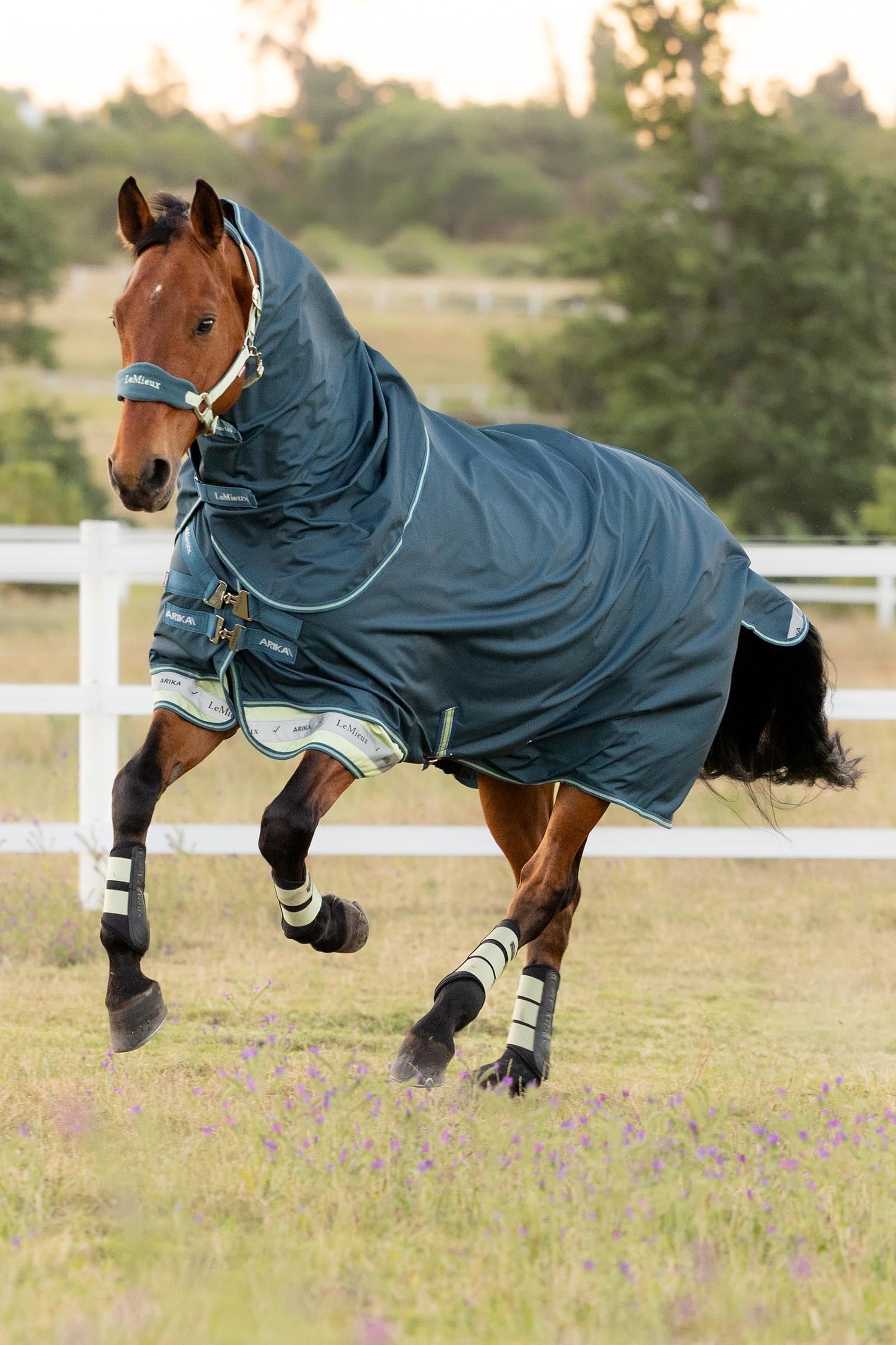 LeMieux Arika Ripstop Turnout Rug With Detachable Neck, 0 g Horse Rugs