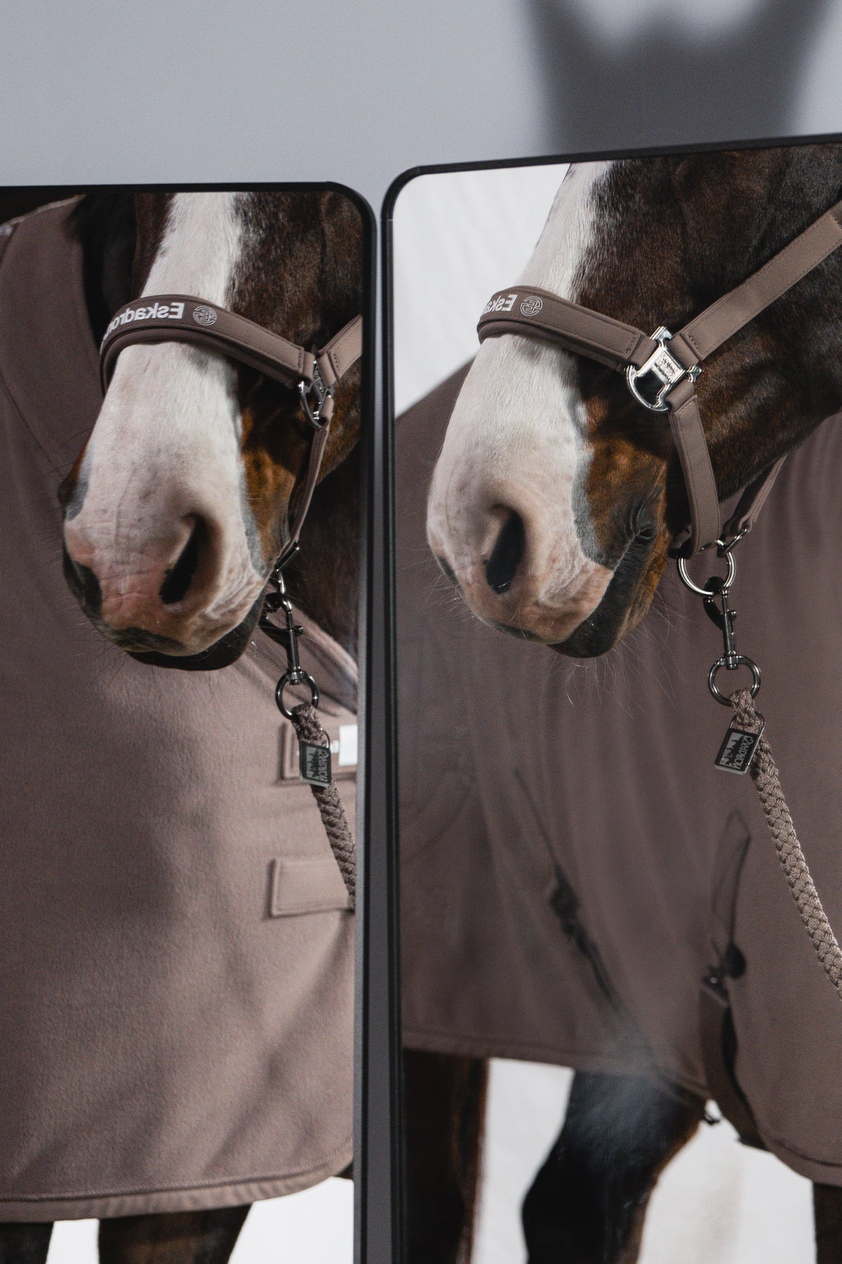 Eskadron Dynamic AW26 Softshell Double PIN Headcollar Halters & Leads