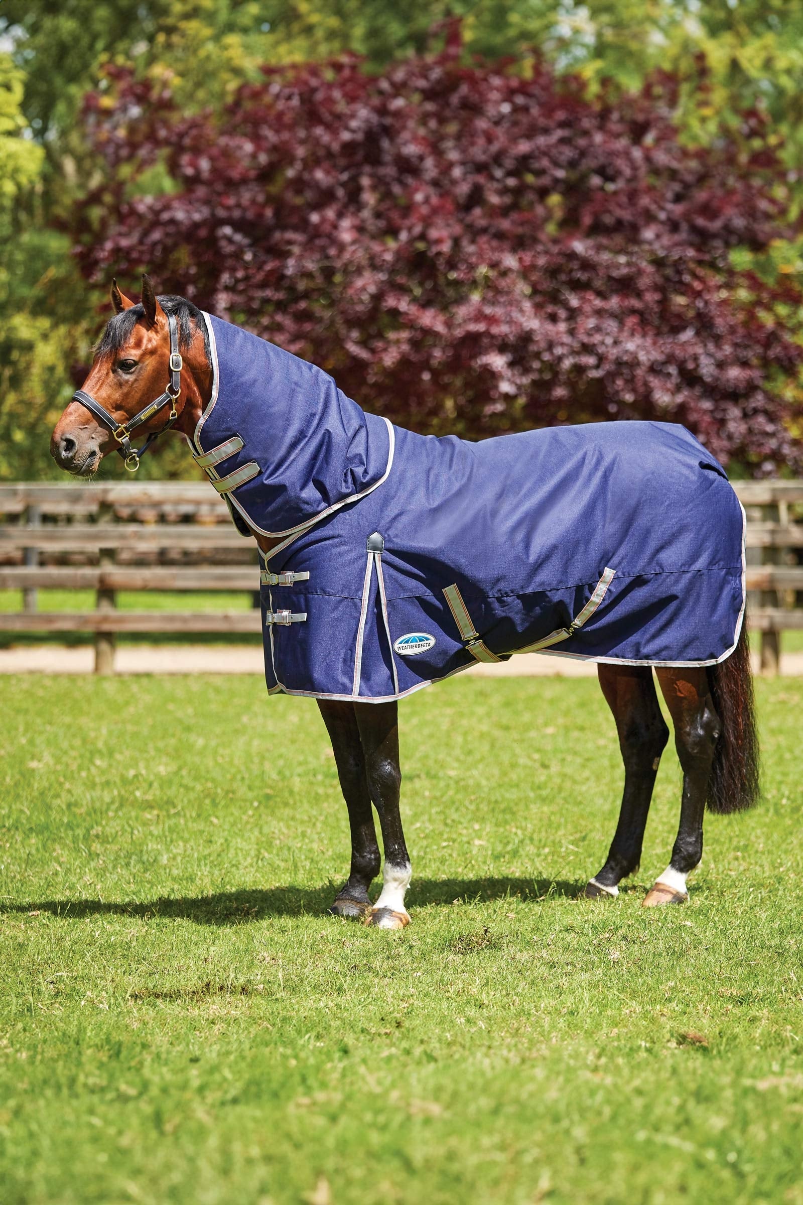Weatherbeeta Comfitec Essential Detach-a-Neck Medium Turnout Rug, 220g Loimet