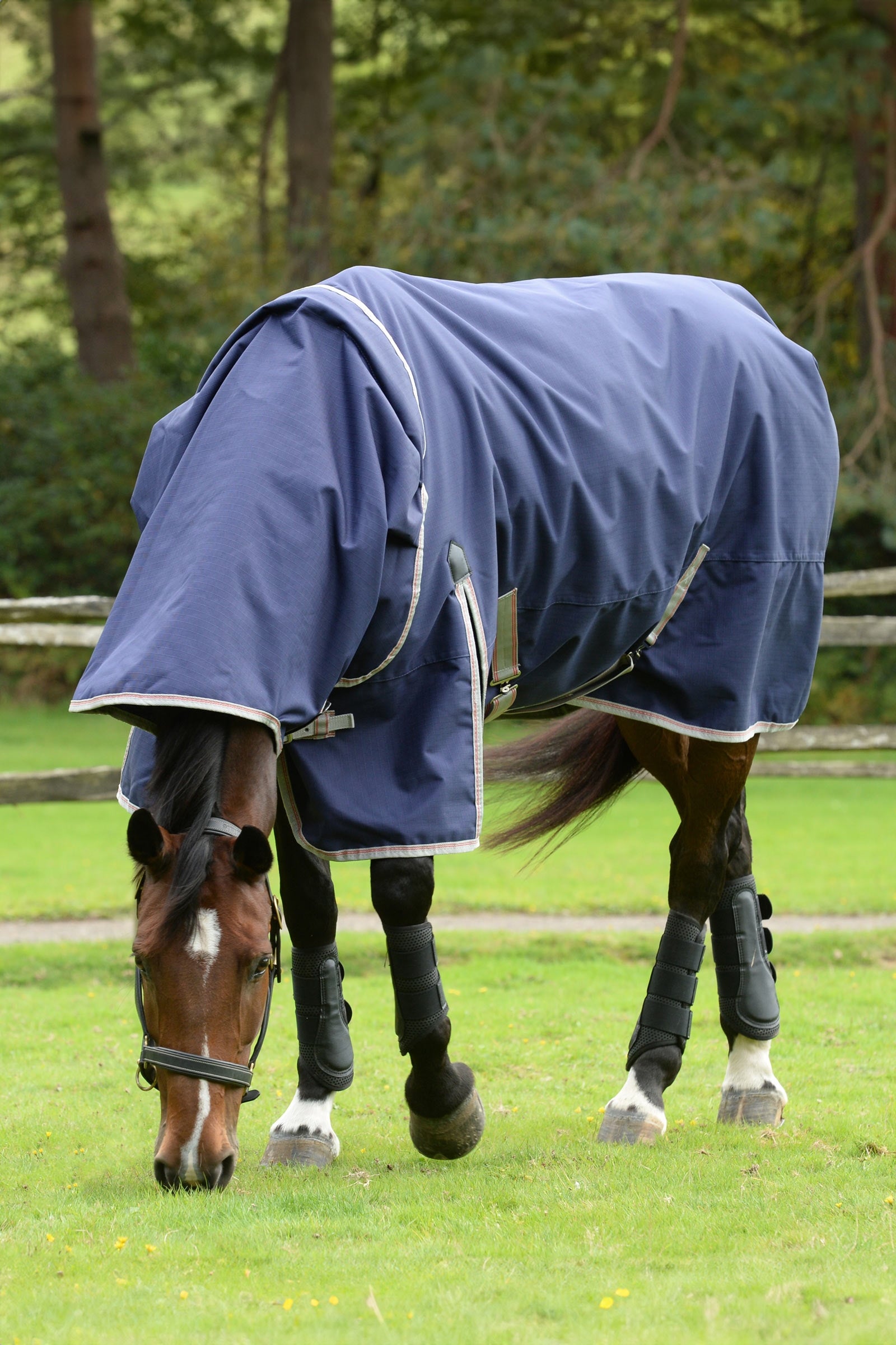 Weatherbeeta Comfitec Essential Detach-a-Neck Medium Turnout Rug, 220g Horse Rugs