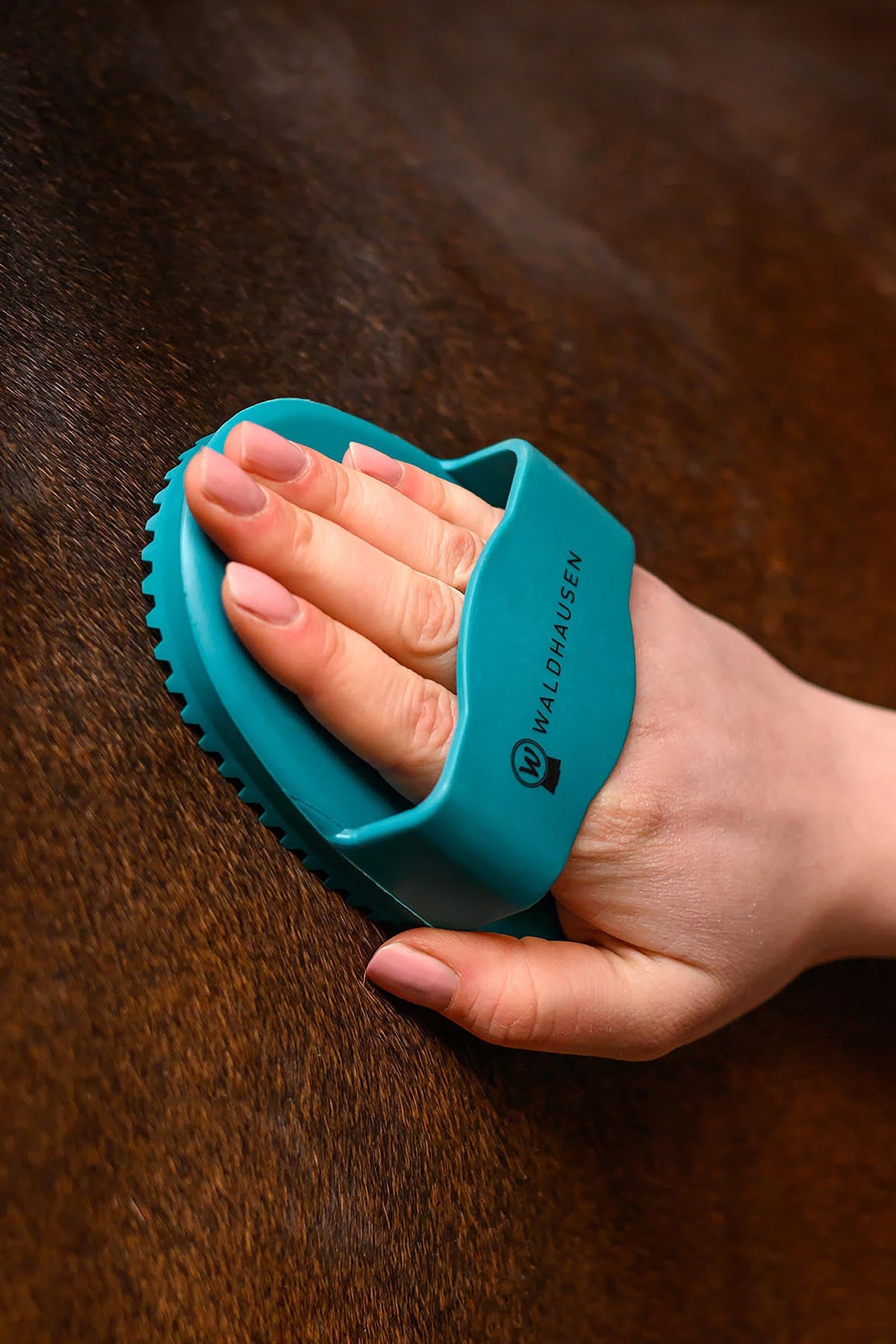 Waldhausen Rainbow Curry Comb Horse Grooming Tools