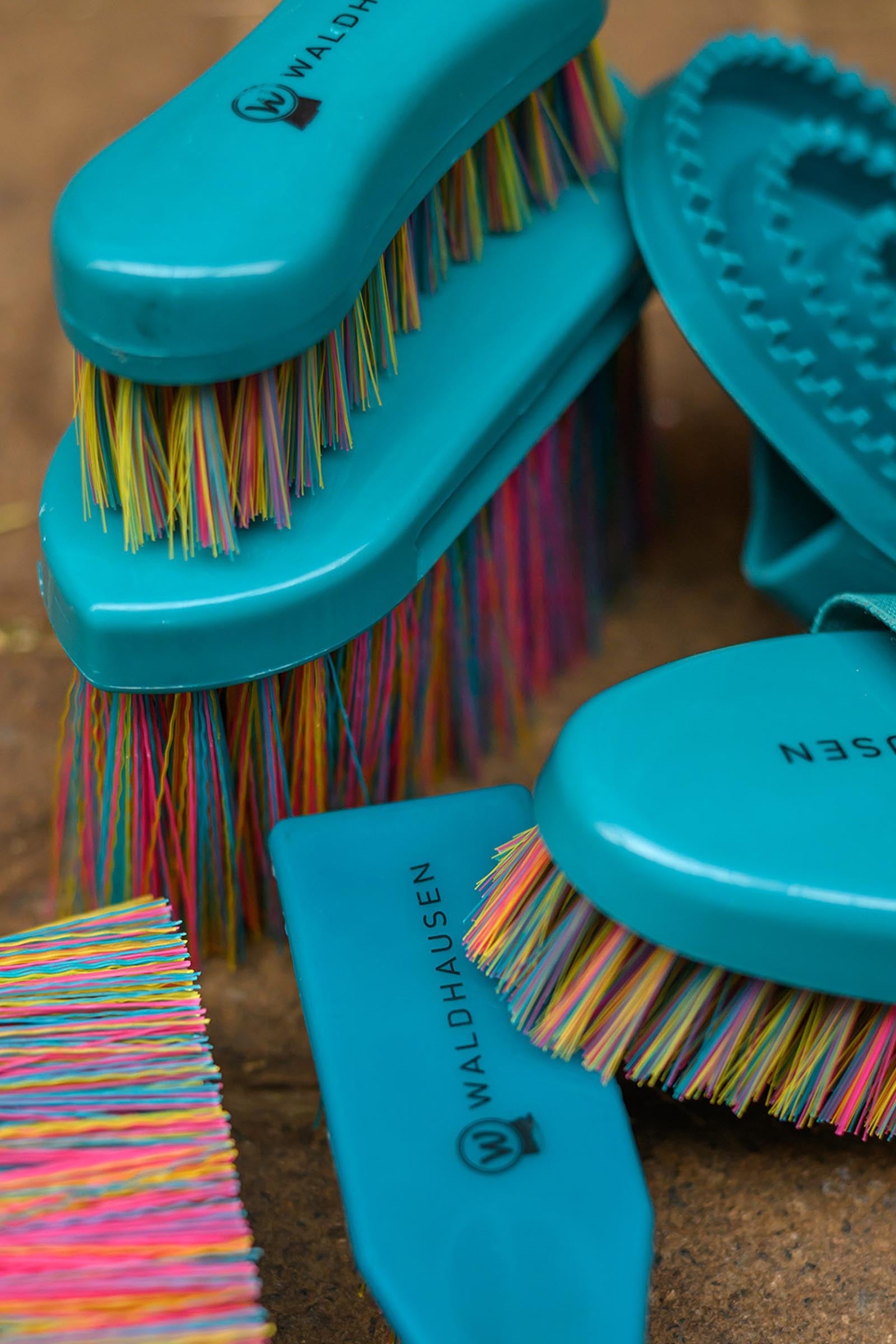 Waldhausen Rainbow Curry Comb Horse Grooming Tools