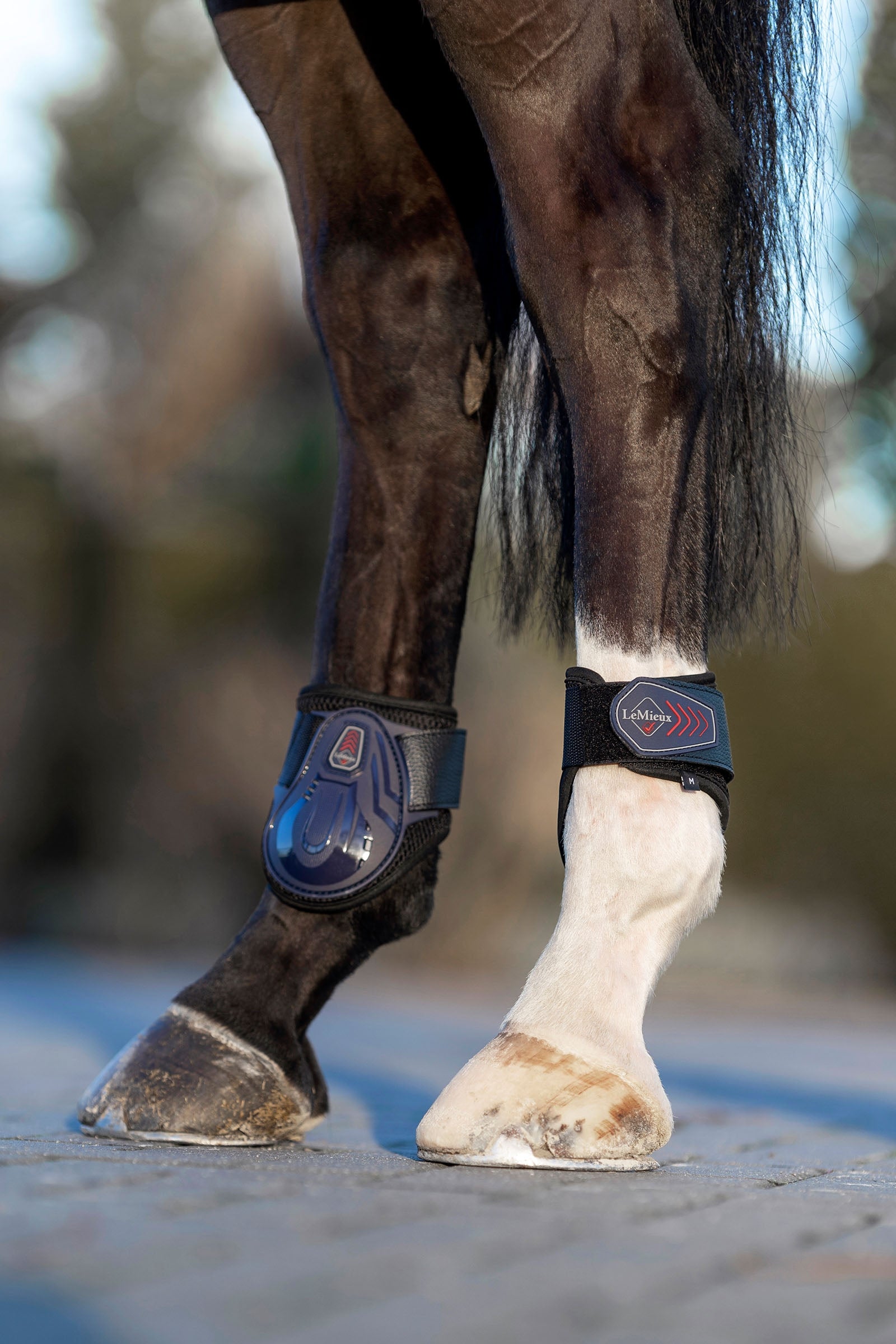 LeMieux Derby ProJump Fetlock Boot Leg Protection & Hoof Protection for Horses