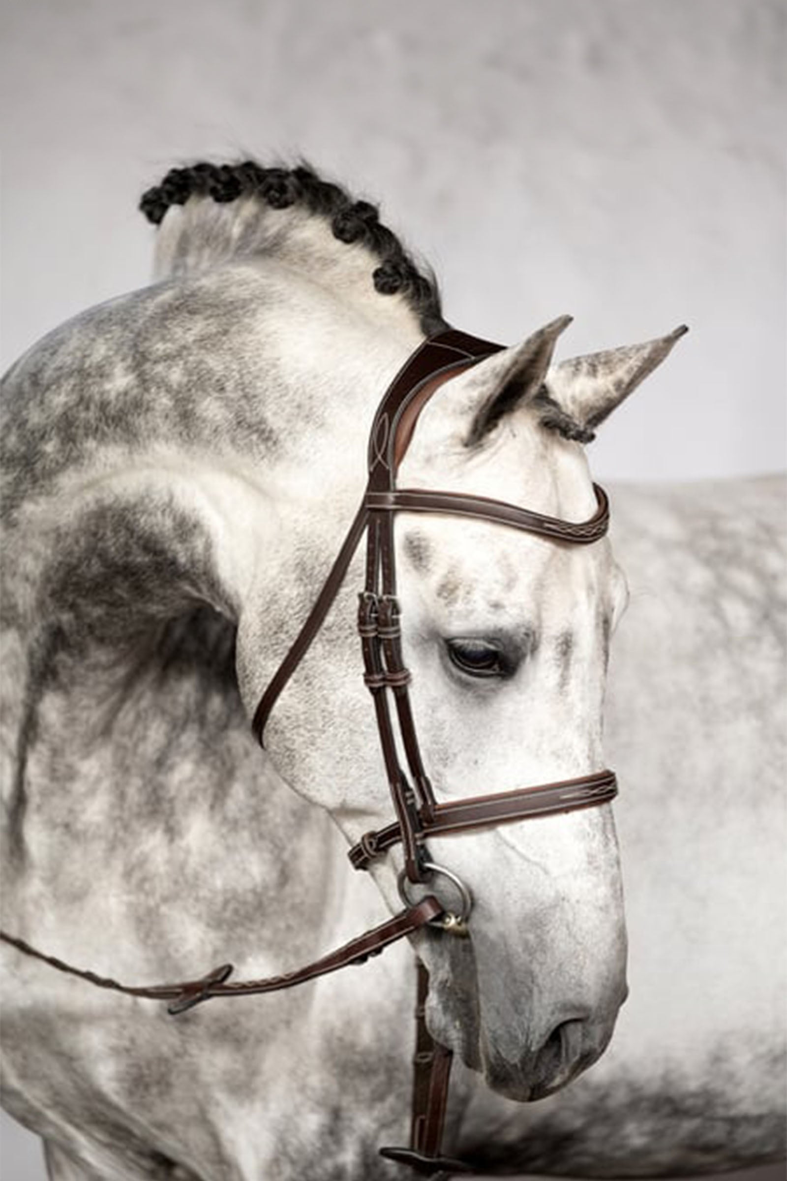 PS of Sweden Bridle Ocala Bridles & Reins