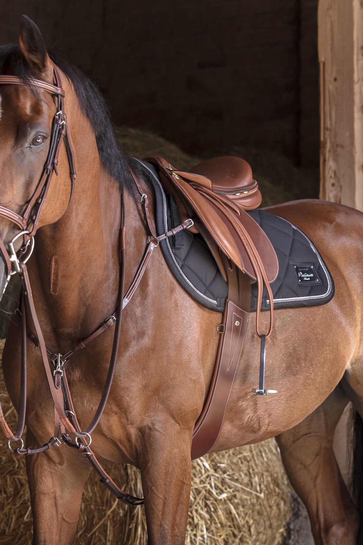 ERIC THOMAS FITTER Stirrup Leathers Saddles, Girths & Stirrups