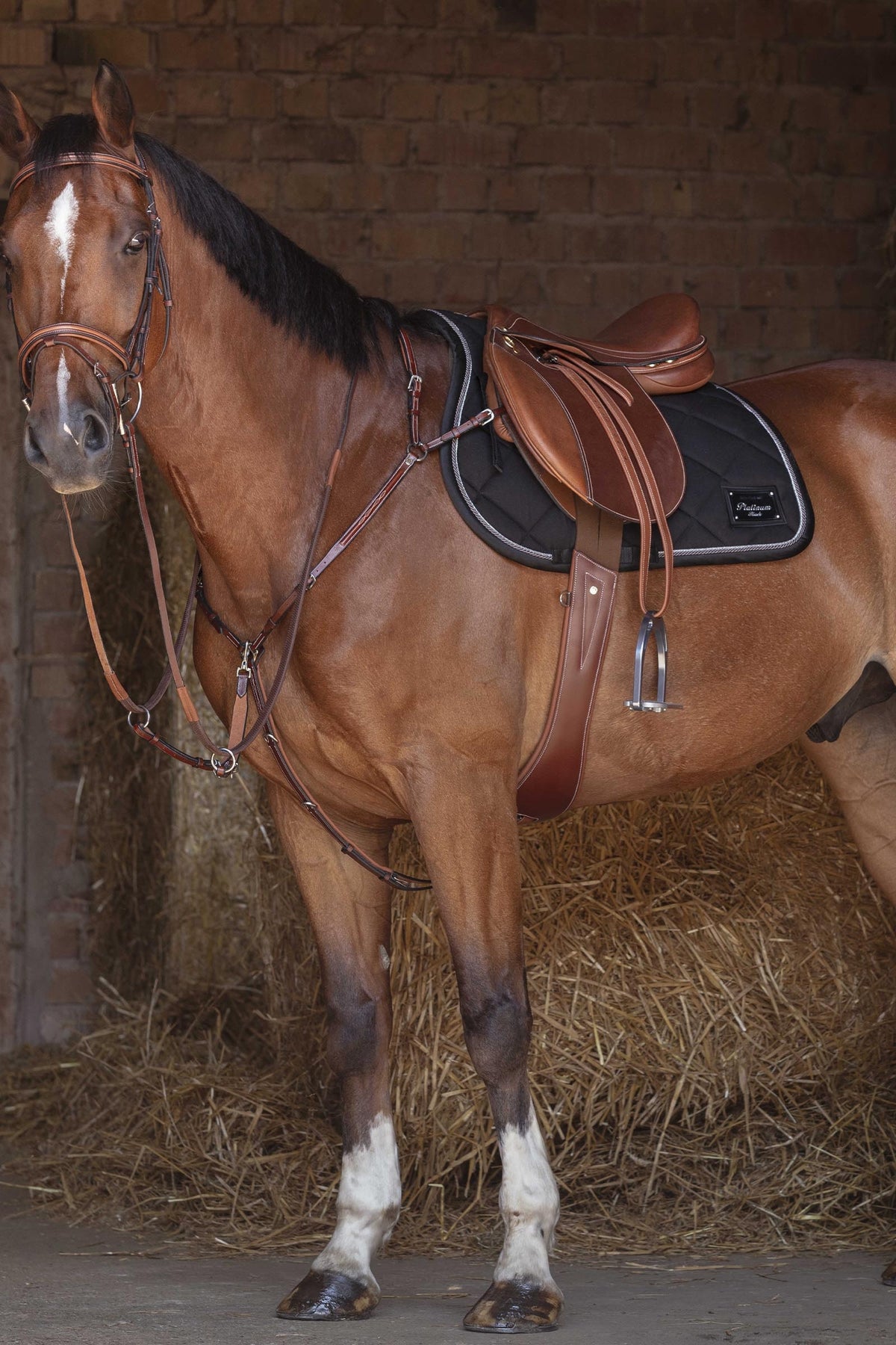 ERIC THOMAS FITTER Stirrup Leathers Saddles, Girths & Stirrups