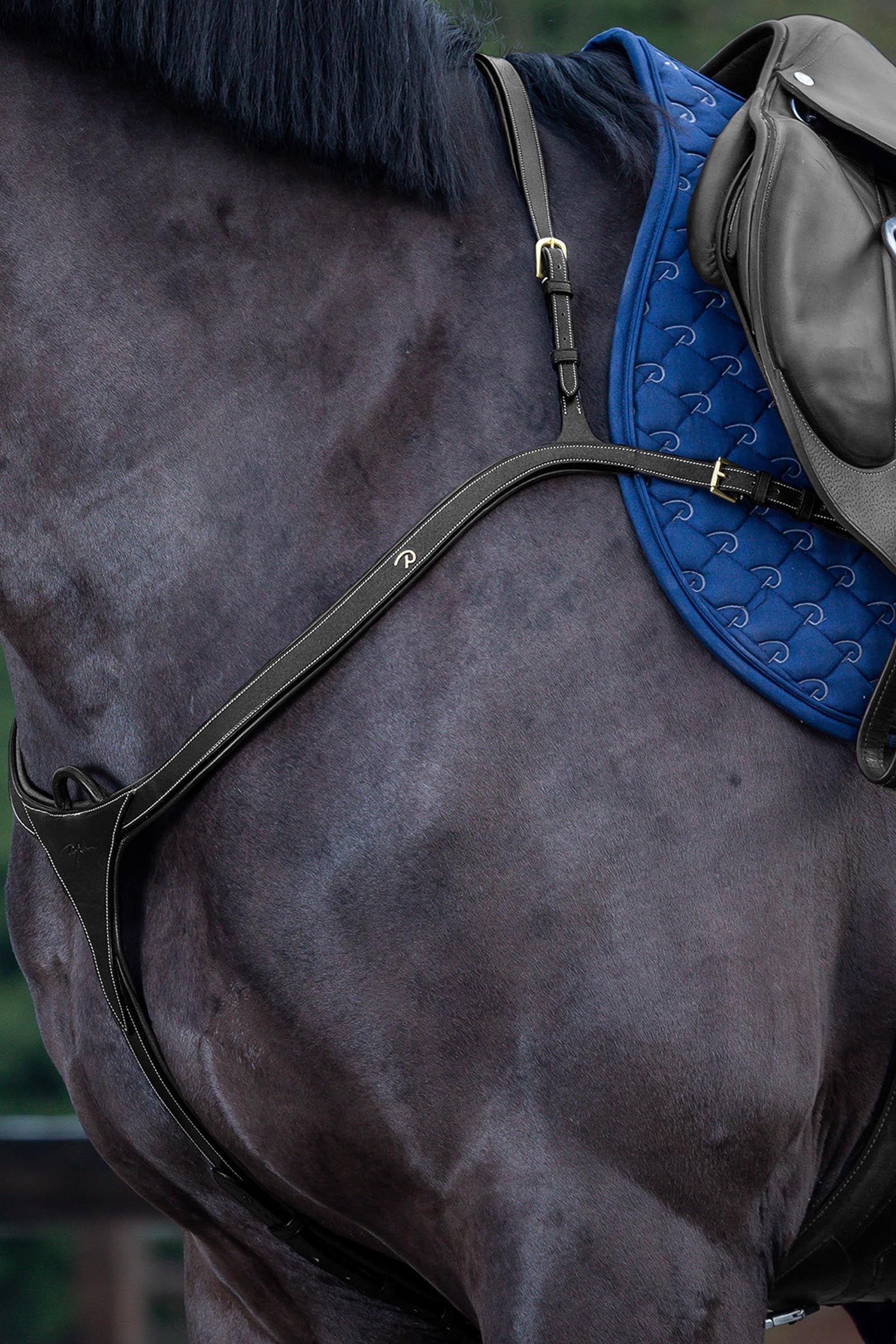 Dy'on D Collection rintaremmi, jossa pitkä silta Suitset & Ohjat