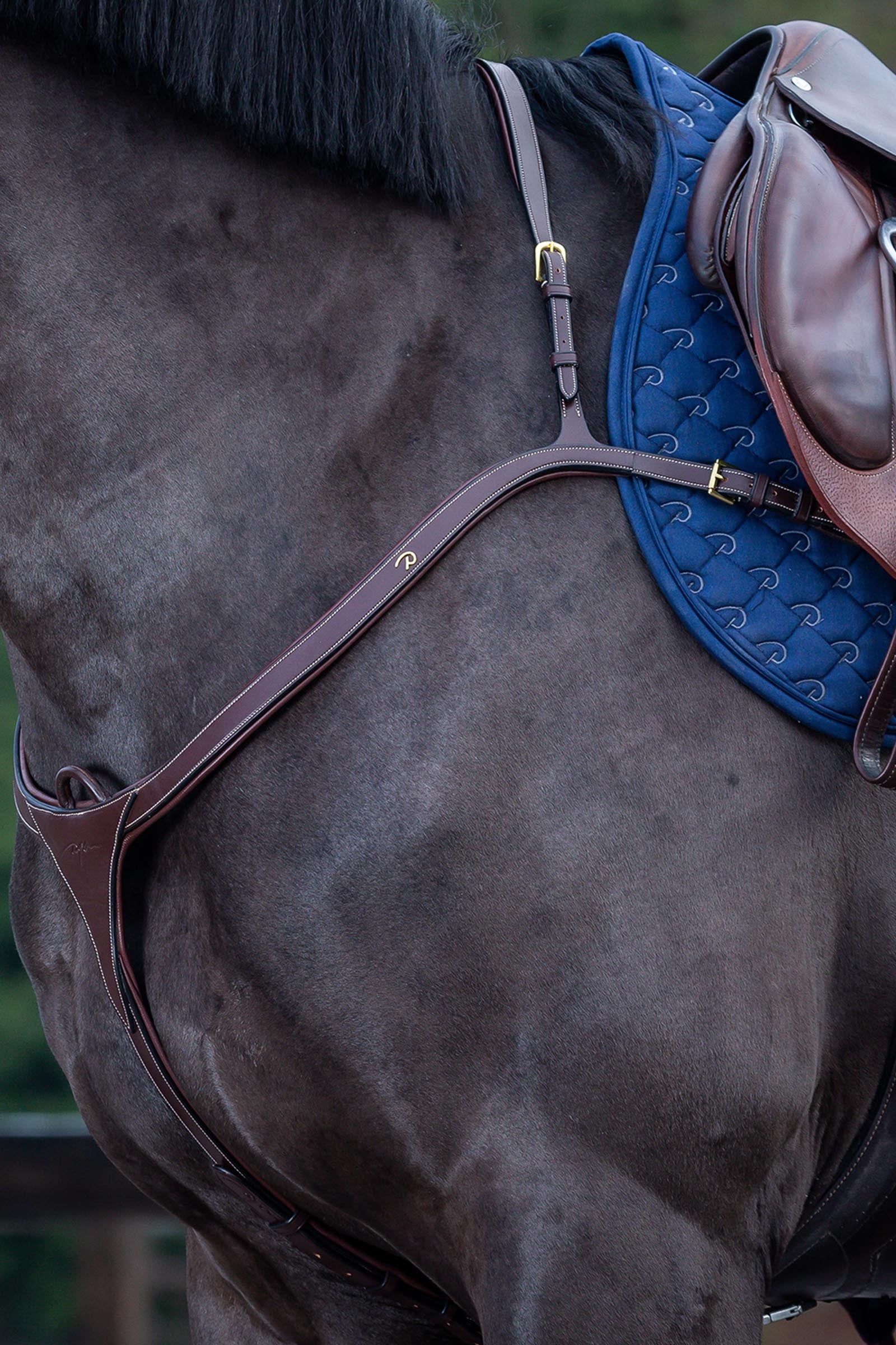 Dy'on D Collection rintaremmi, jossa pitkä silta Suitset & Ohjat