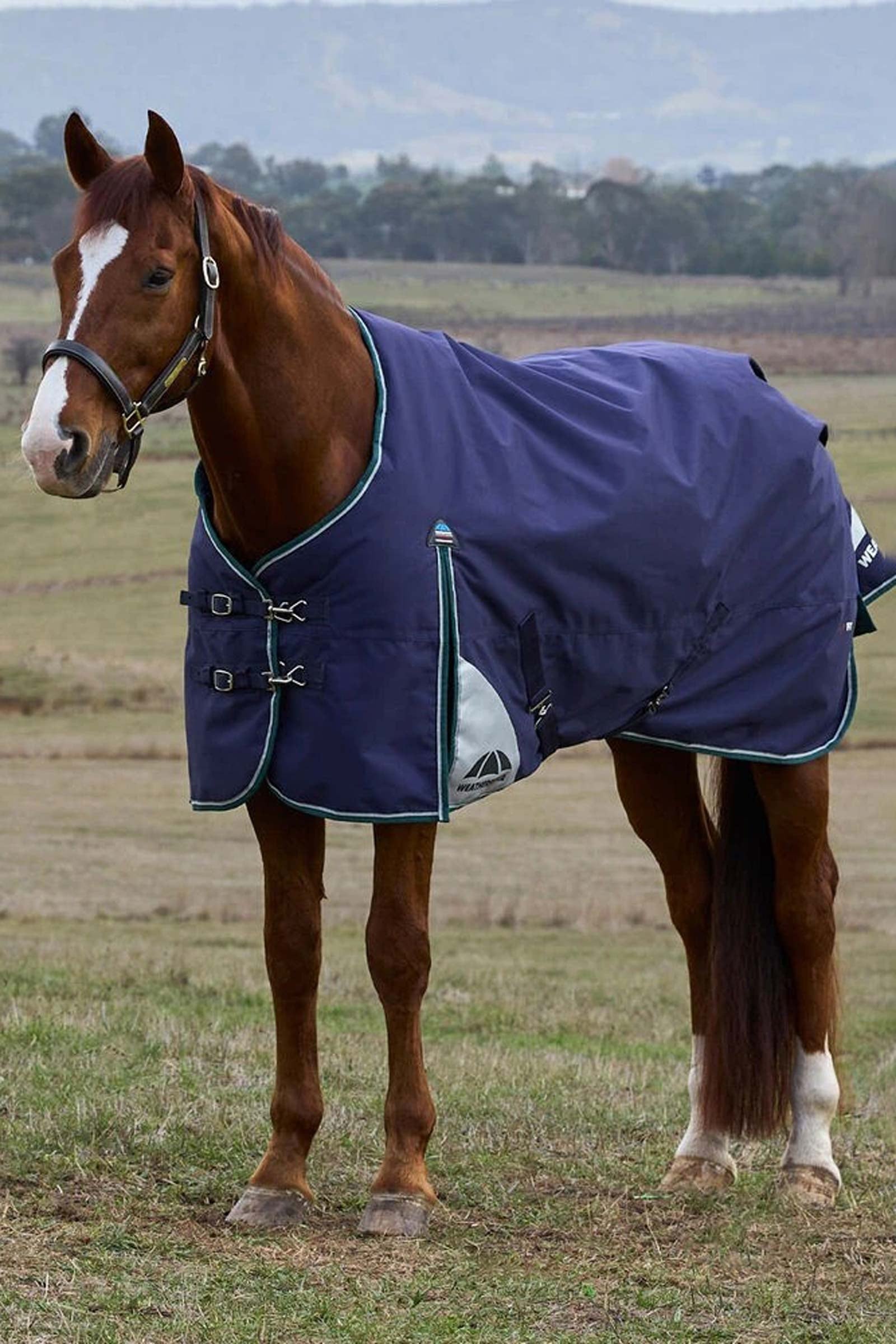 Weatherbeeta ComFiTecPlus Dynamic Turnout Rug, 0 g Loimet