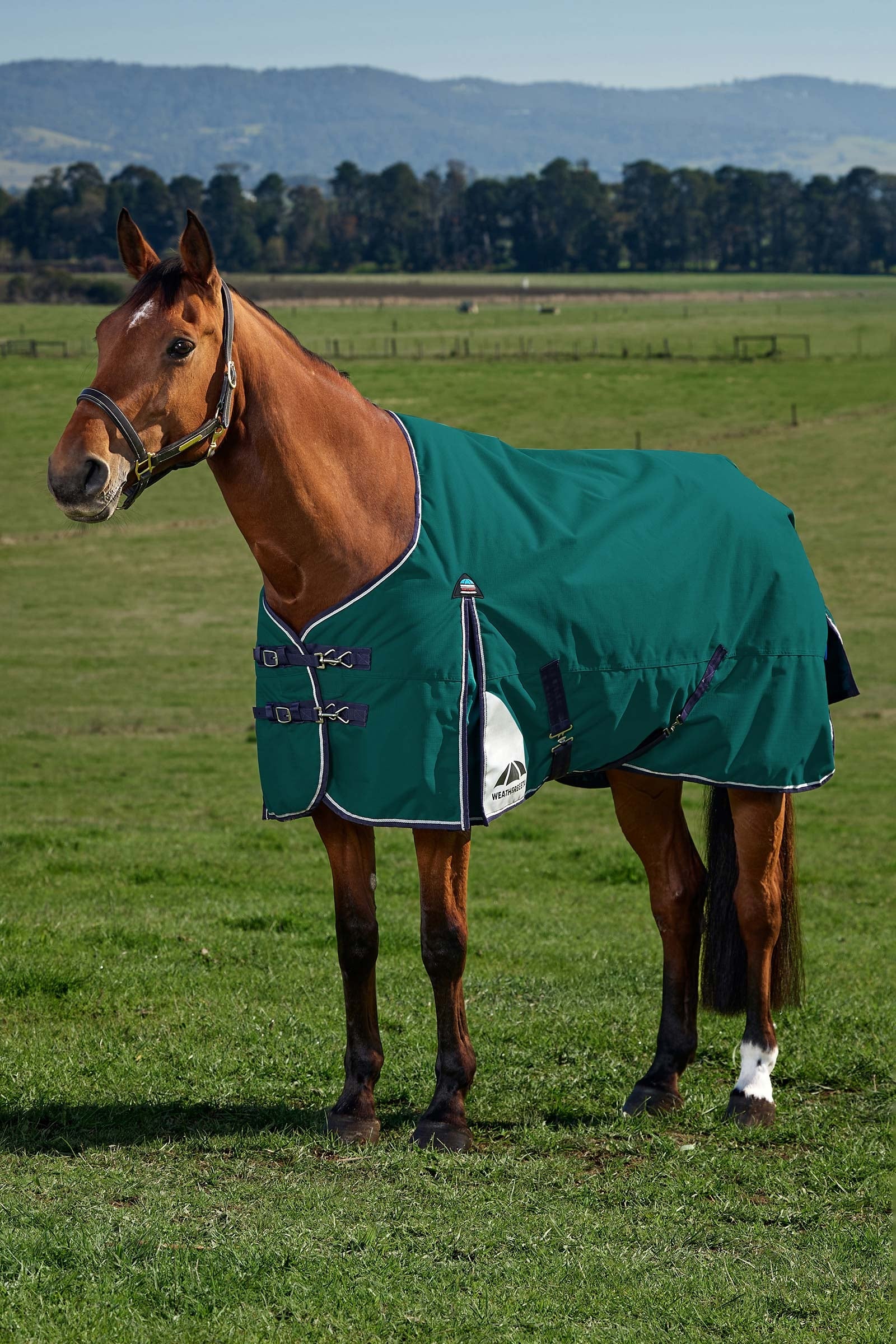 Weatherbeeta ComFiTecPlus Dynamic Turnout Standard Neck 0G Loimet