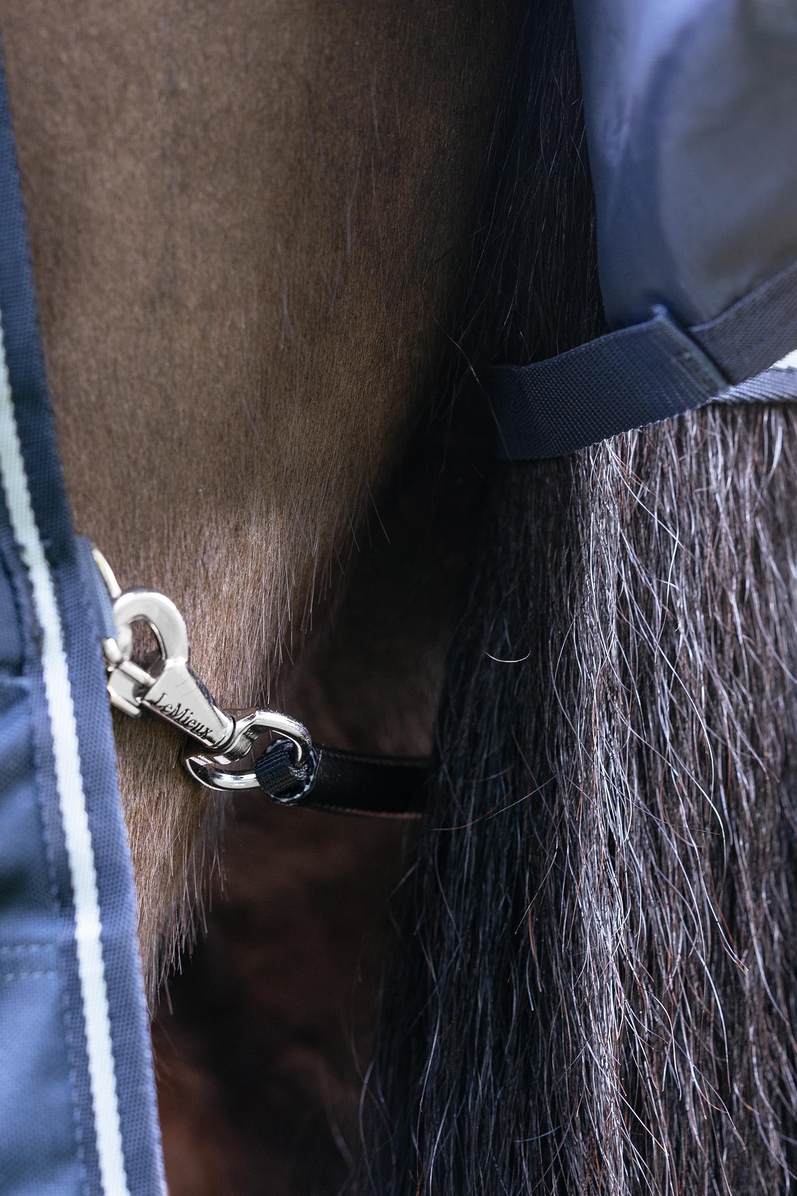 LeMieux Arika Storm-Tek Turnout Rug, 350 g Horse Rugs