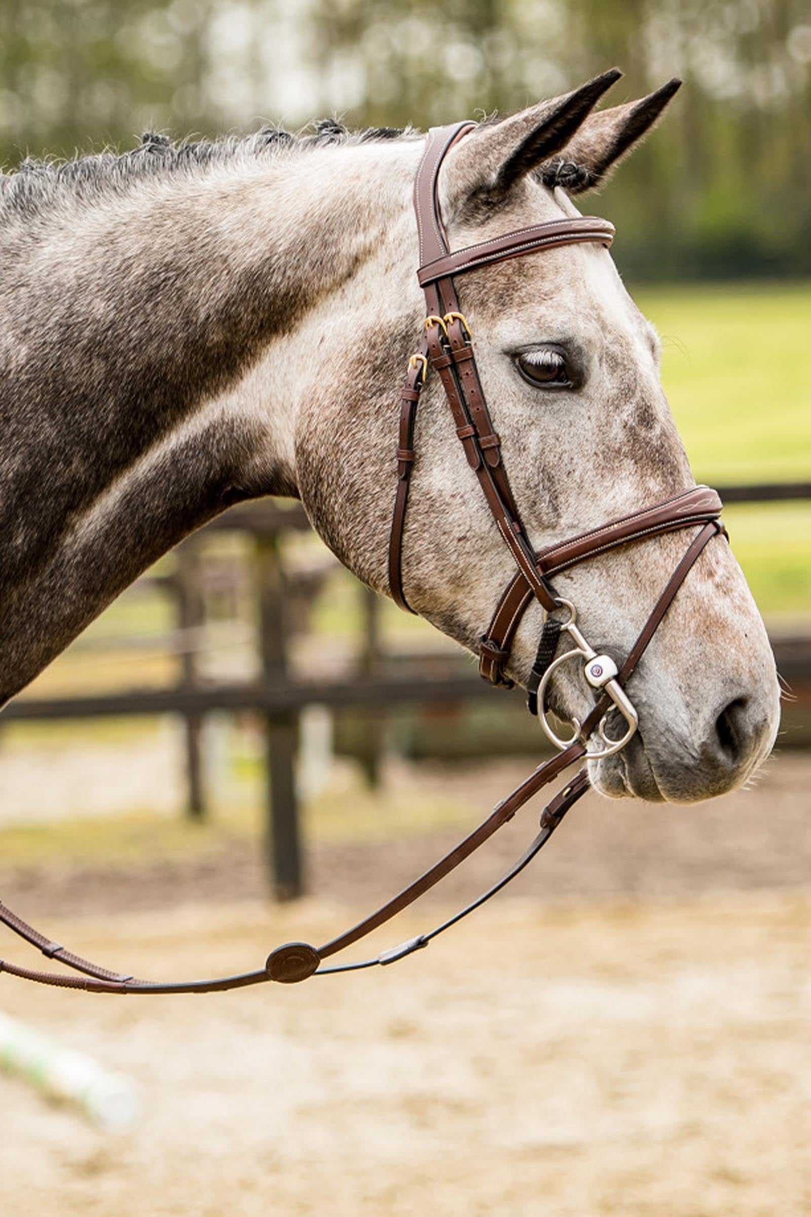 Trust Equestrian Amsterdam Combined Noseband Anatomic Bridle Bridles & Reins