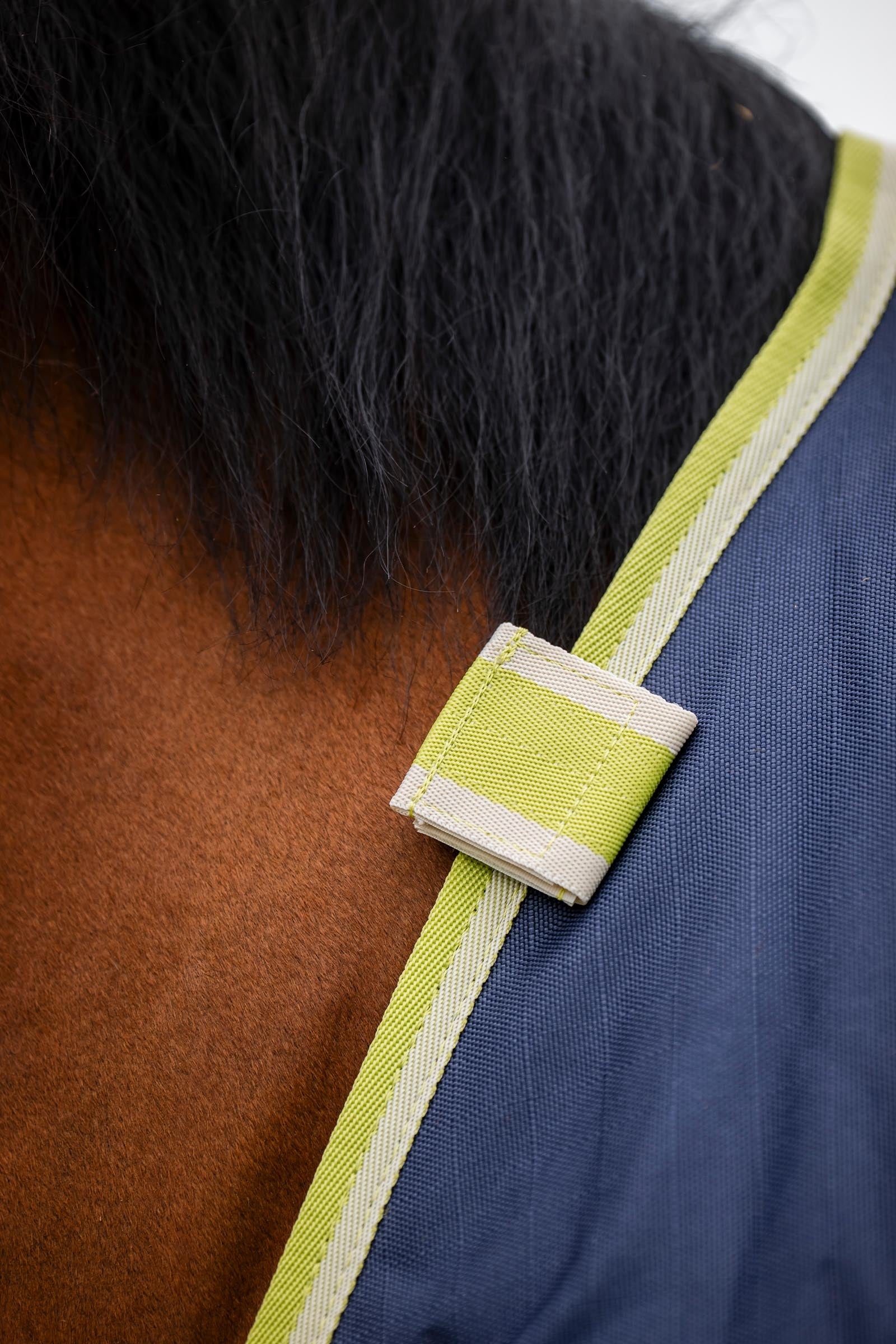 Bucas Oasis Turnout + Neck Set, 100g Horse Rugs