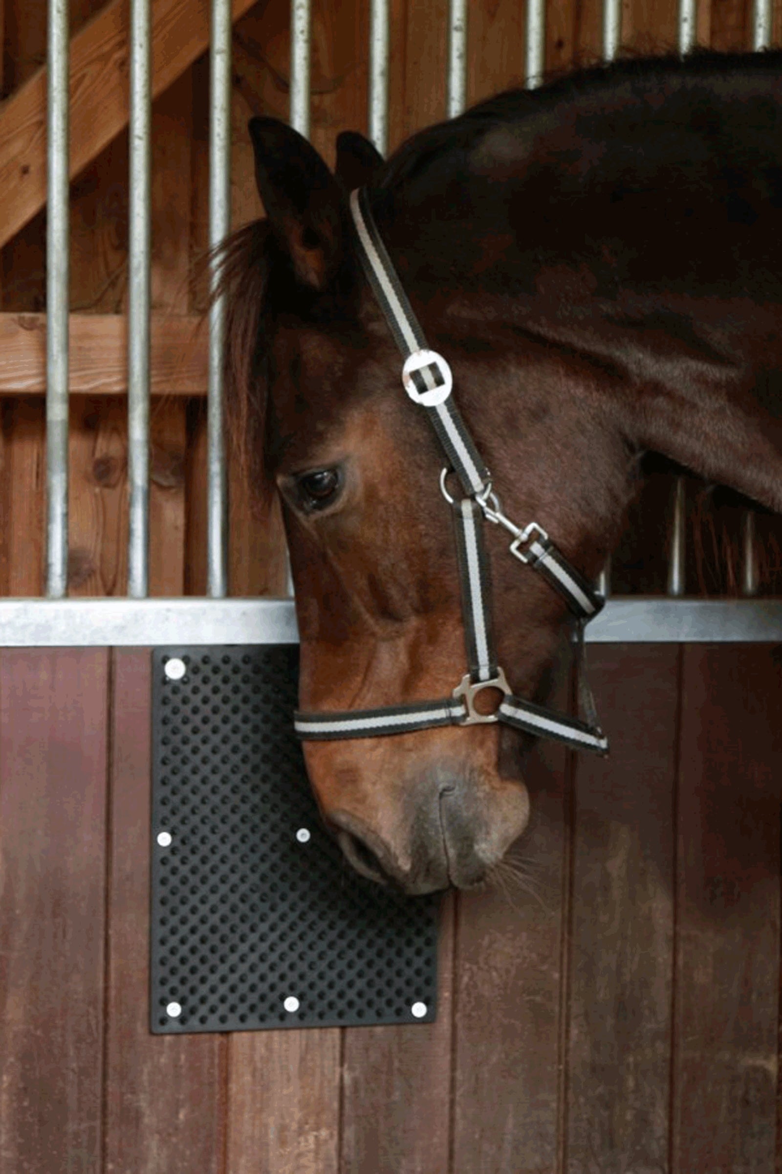 Holland Animal Care Kerbl Scratch Mat Stable Equipment