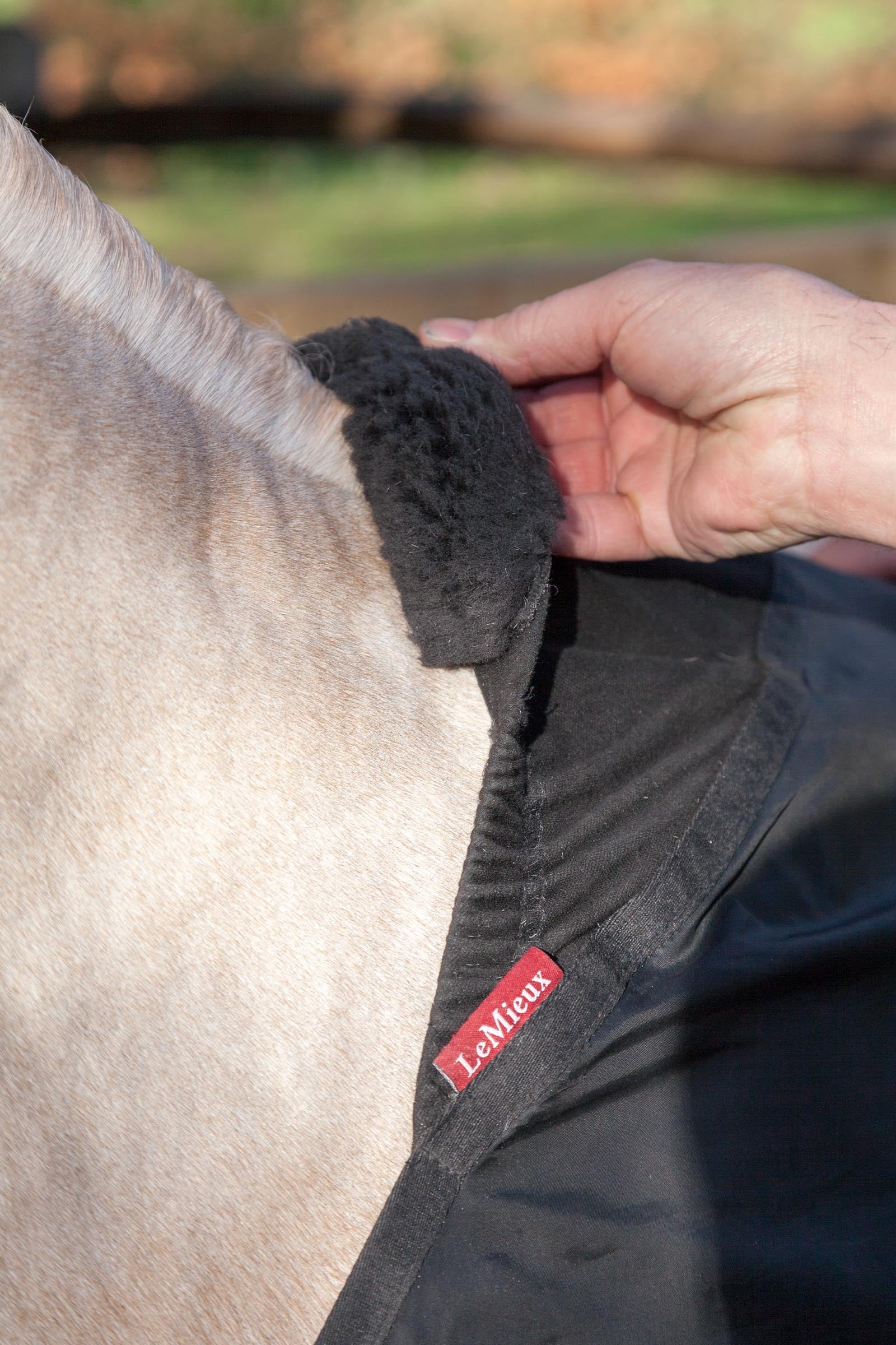 LeMieux Anti Rub Bib Horse Rugs