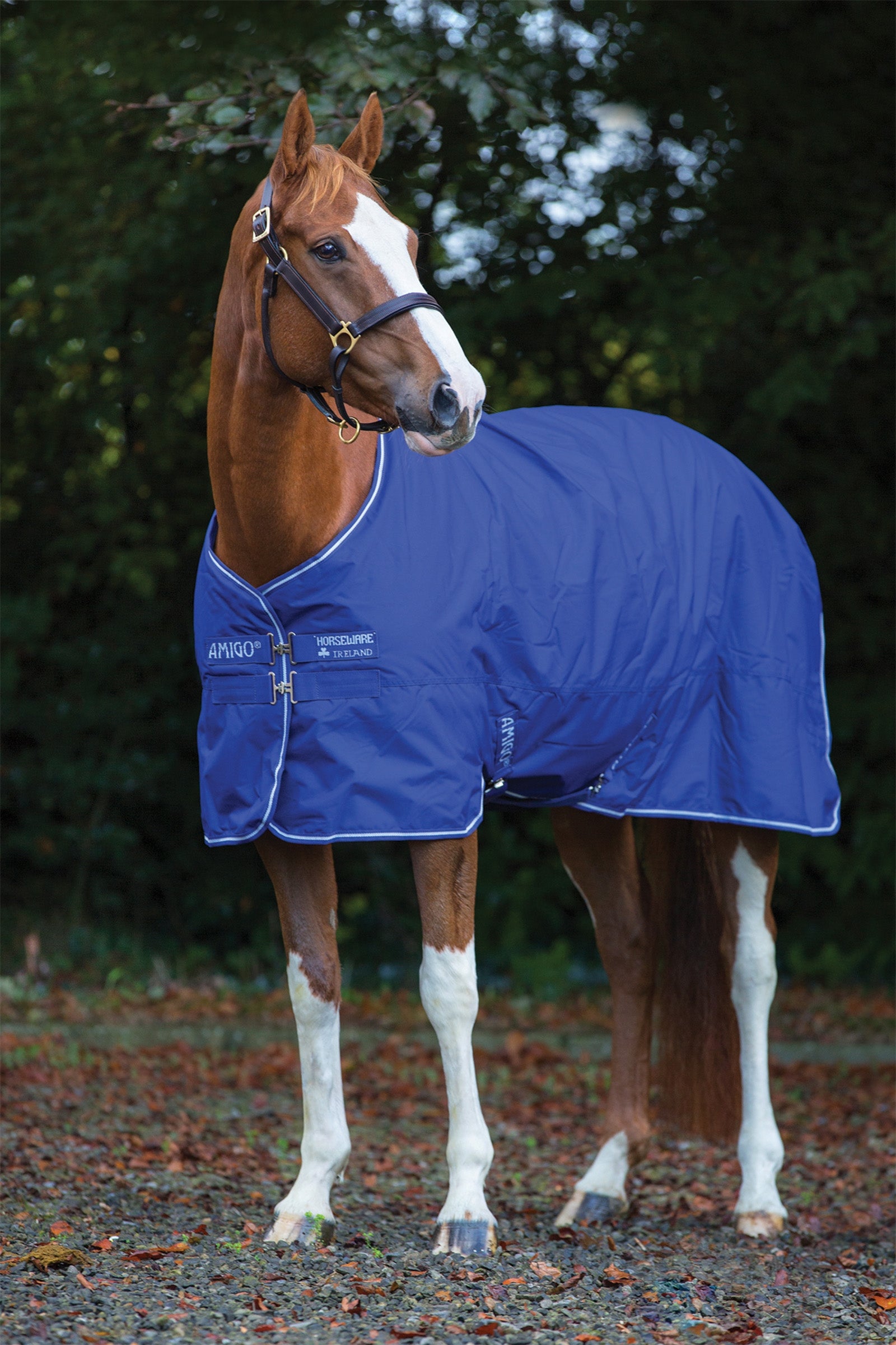 Horseware Amigo Hero 900 Plus Medium Turnout Rug, 200g Horse Rugs
