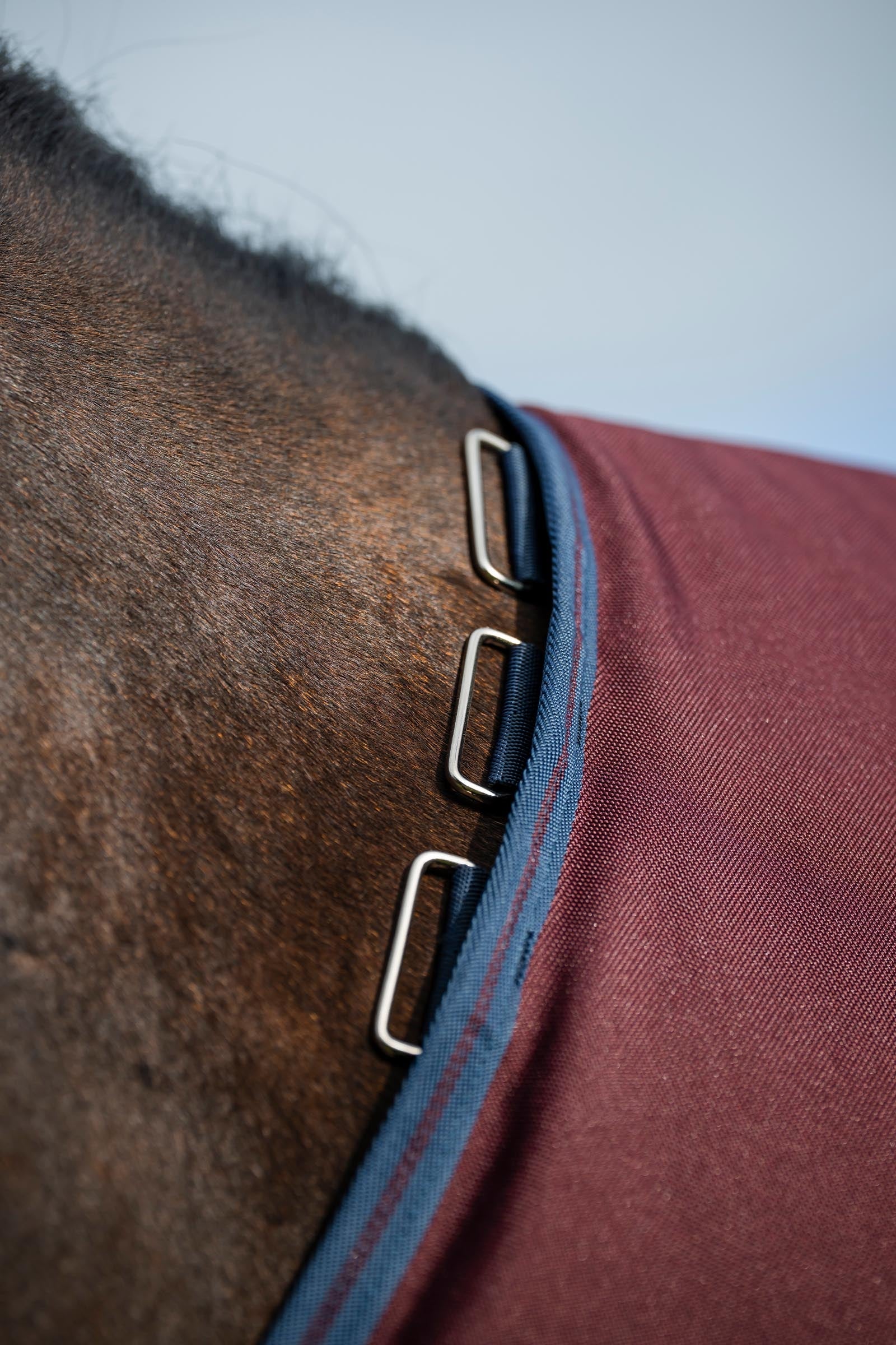 Horseware Amigo 1200D Turnout Rug, 100 g Horse Rugs