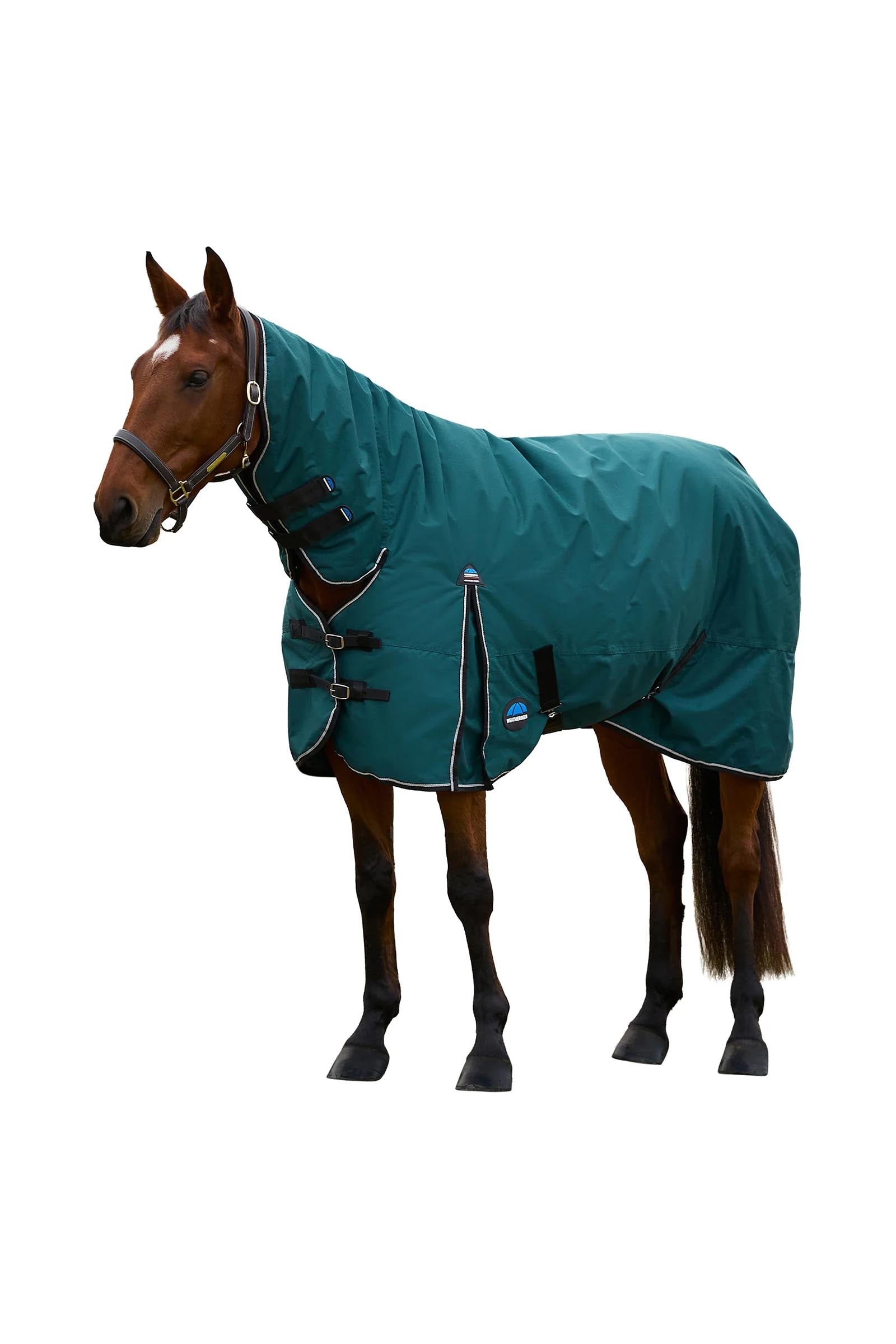Weatherbeeta Comfitec Classic Turnout Rug Combo 50g Loimet
