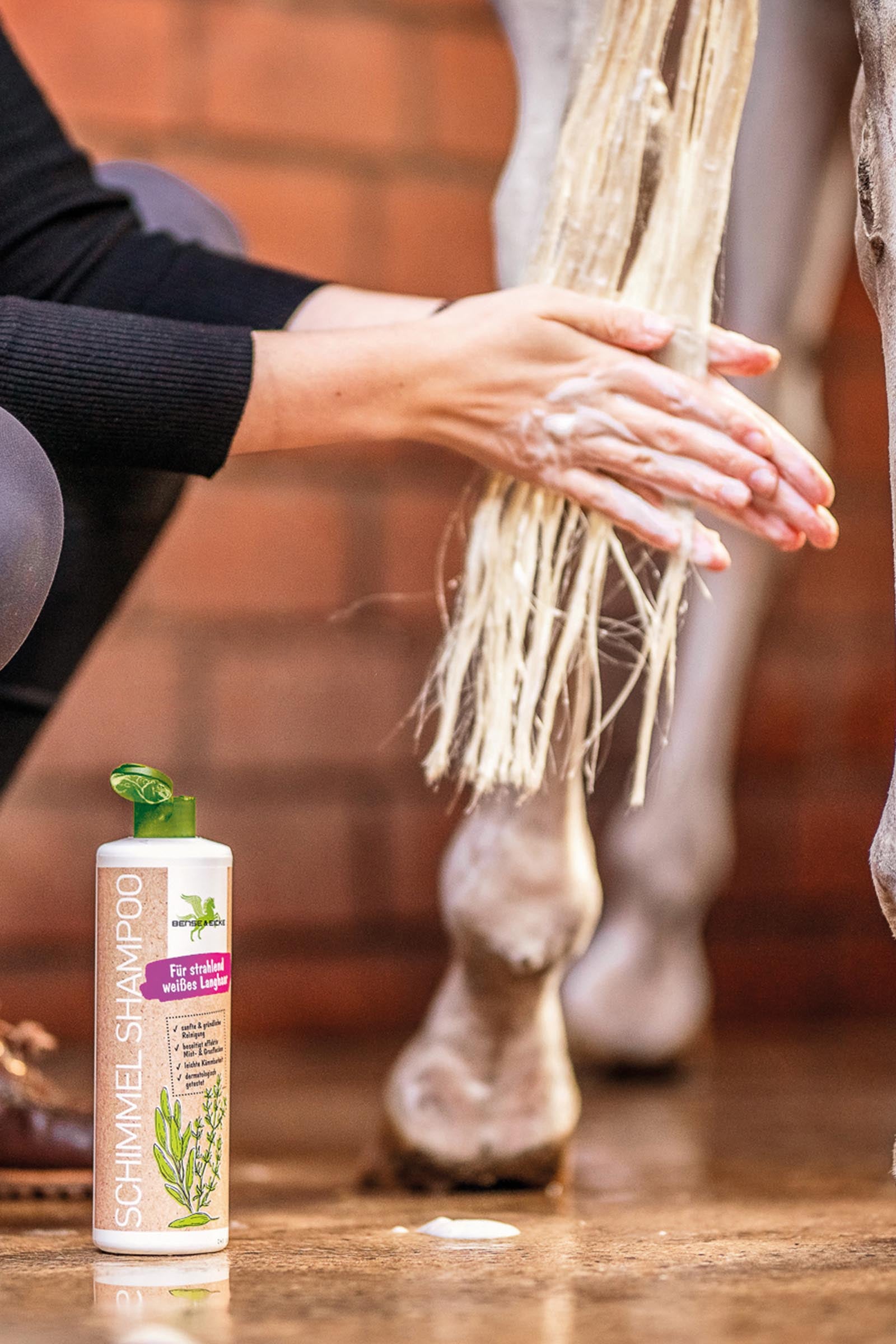 Bense & Eicke White Horse Shampoo, 500 ml Horse Health Care