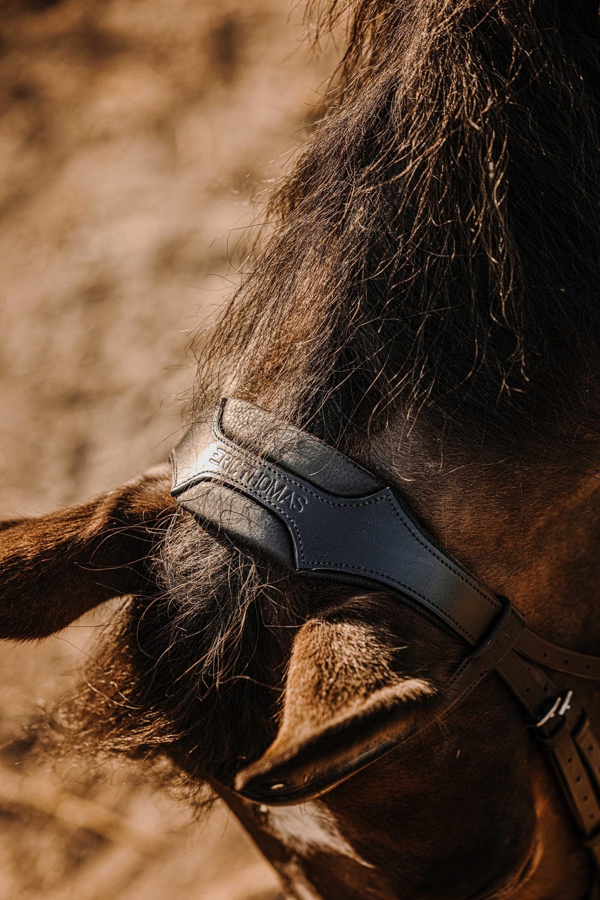 ERIC THOMAS Bat Bridle Bridles & Reins