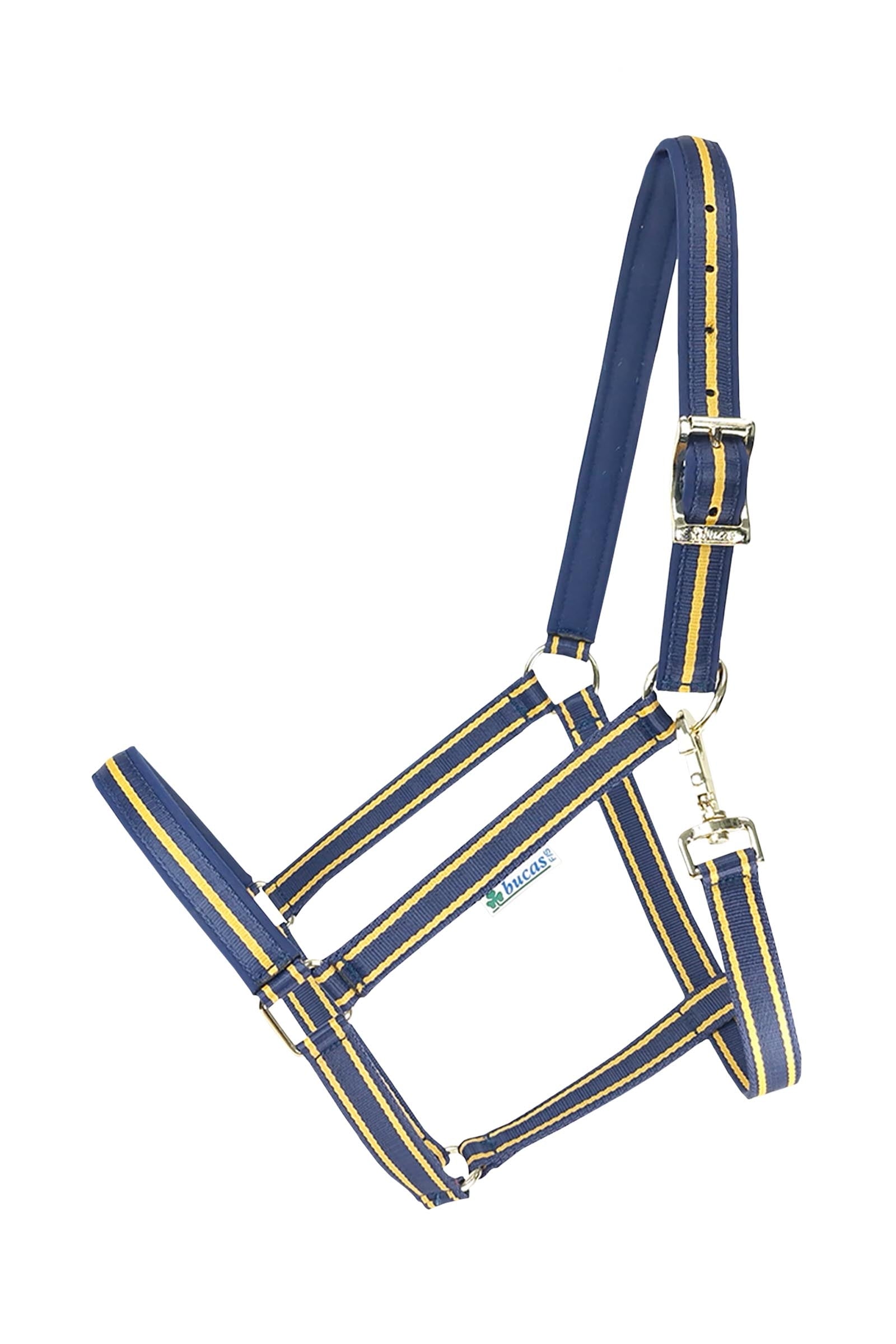 Bucas Dublin Padded Luxury Halter Halters & Leads