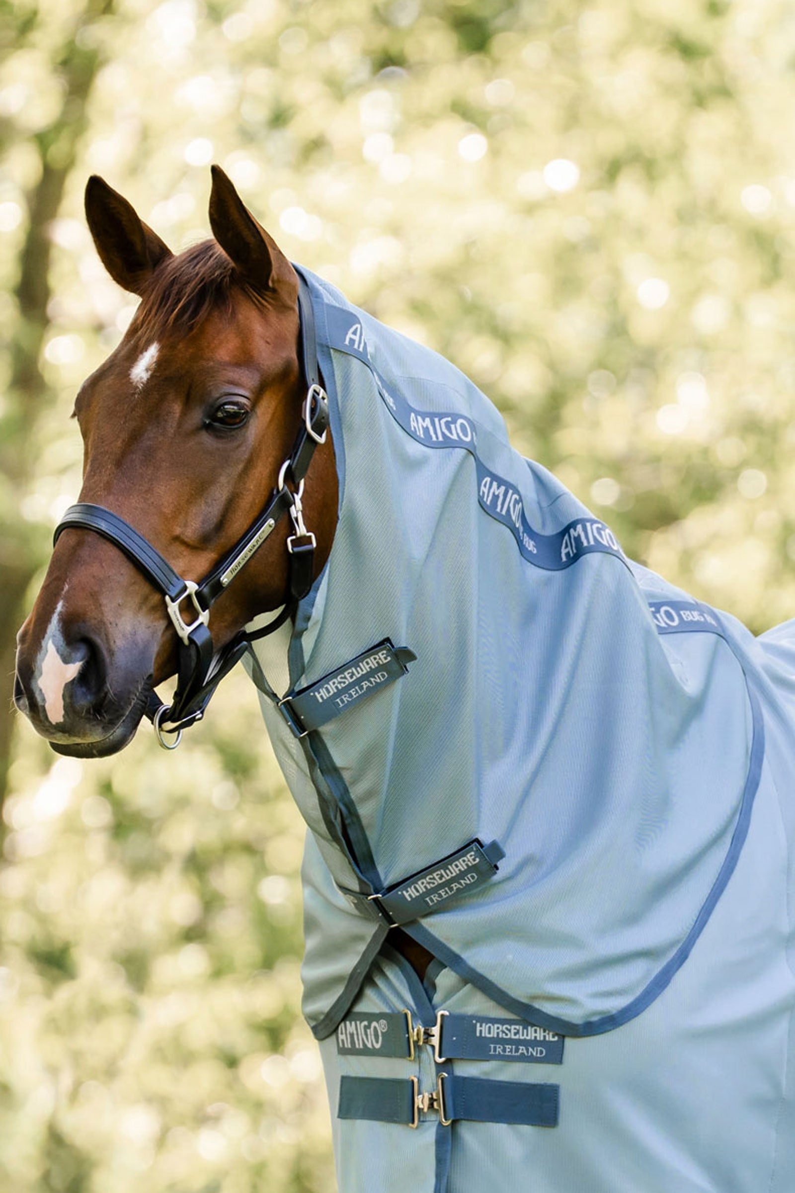 Horseware Amigo kaulakappale hyönteisloimeen, UV-suoja Loimet