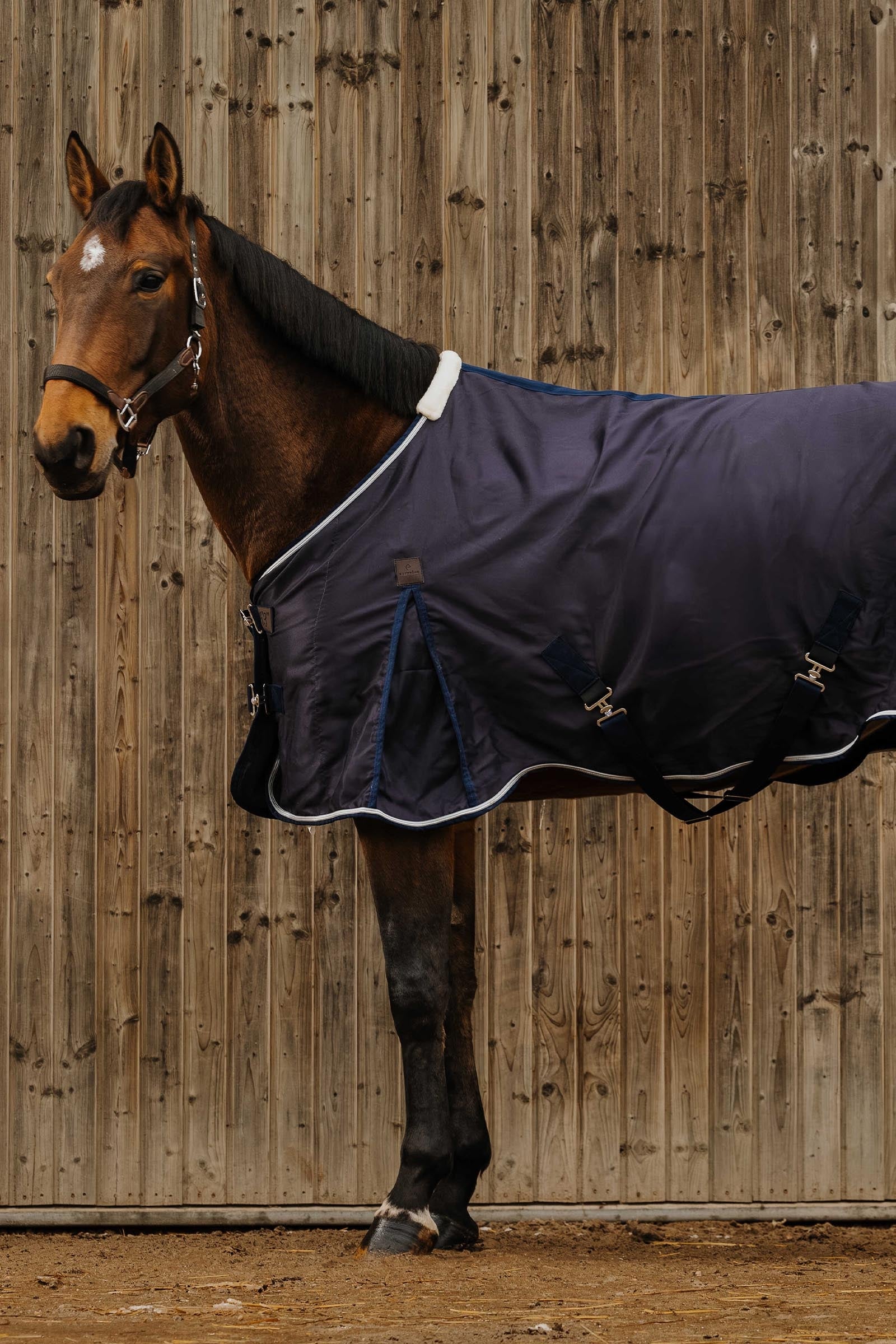 Equi Theme EQUITHÈME Wave Sheet Horse Rugs