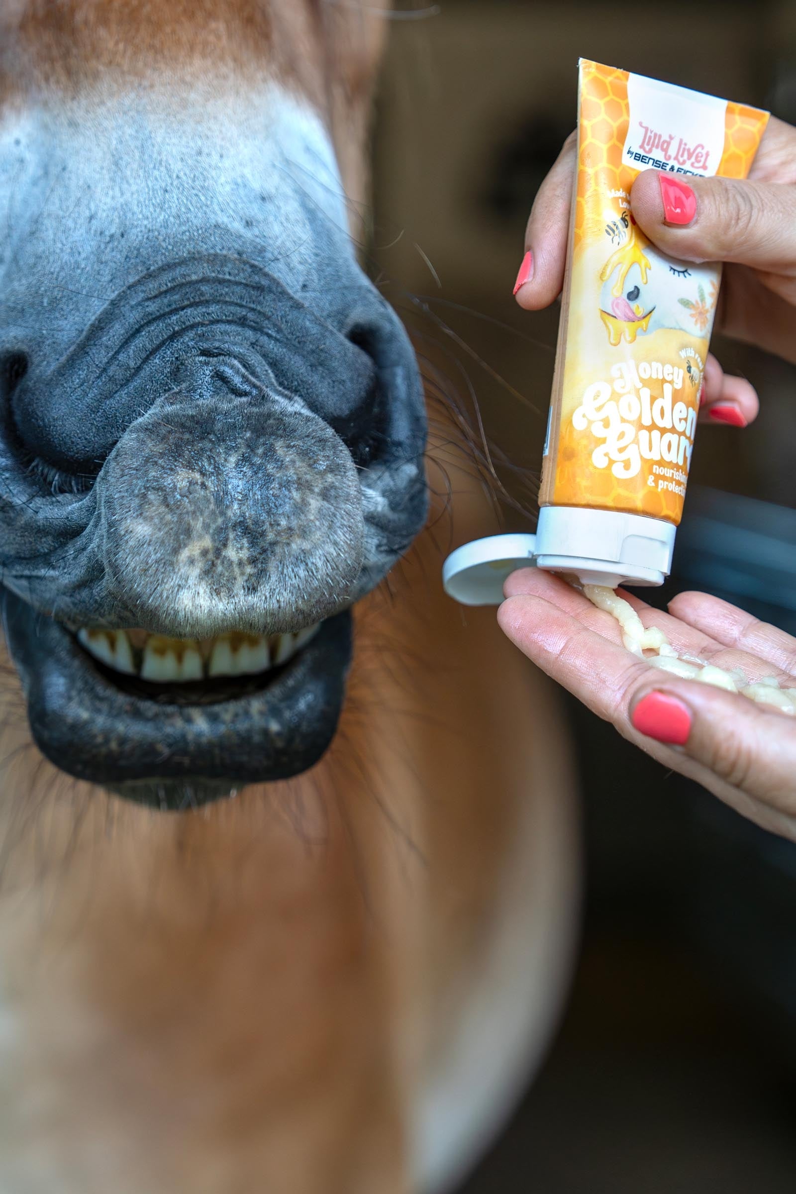Bense & Eicke Lilla Livet Honey Golden Guard Mouth Balm, 100 ml Horse Health Care