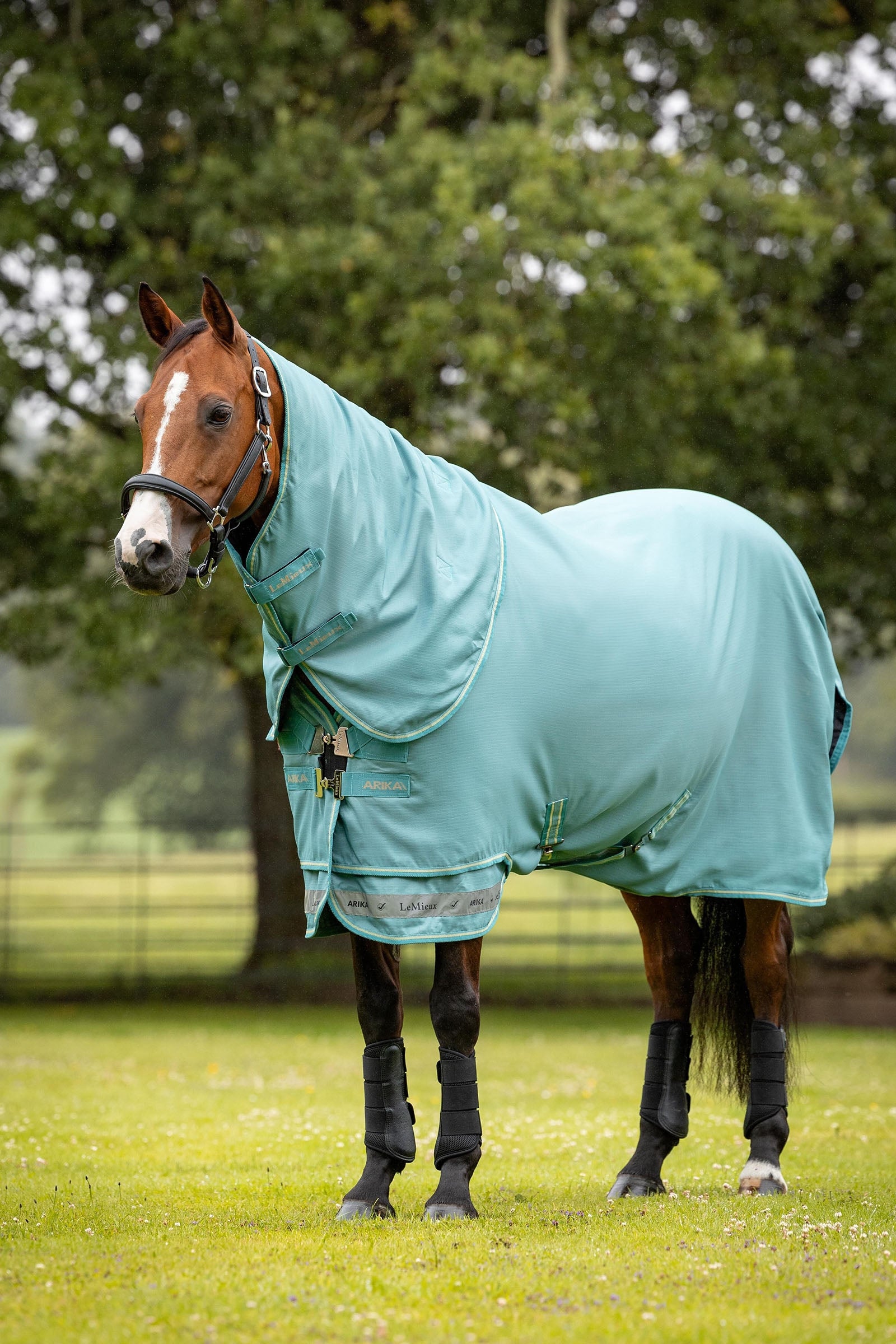 LeMieux Arika 600D Turnout Rug With Detachable Neck, 50g Horse Rugs