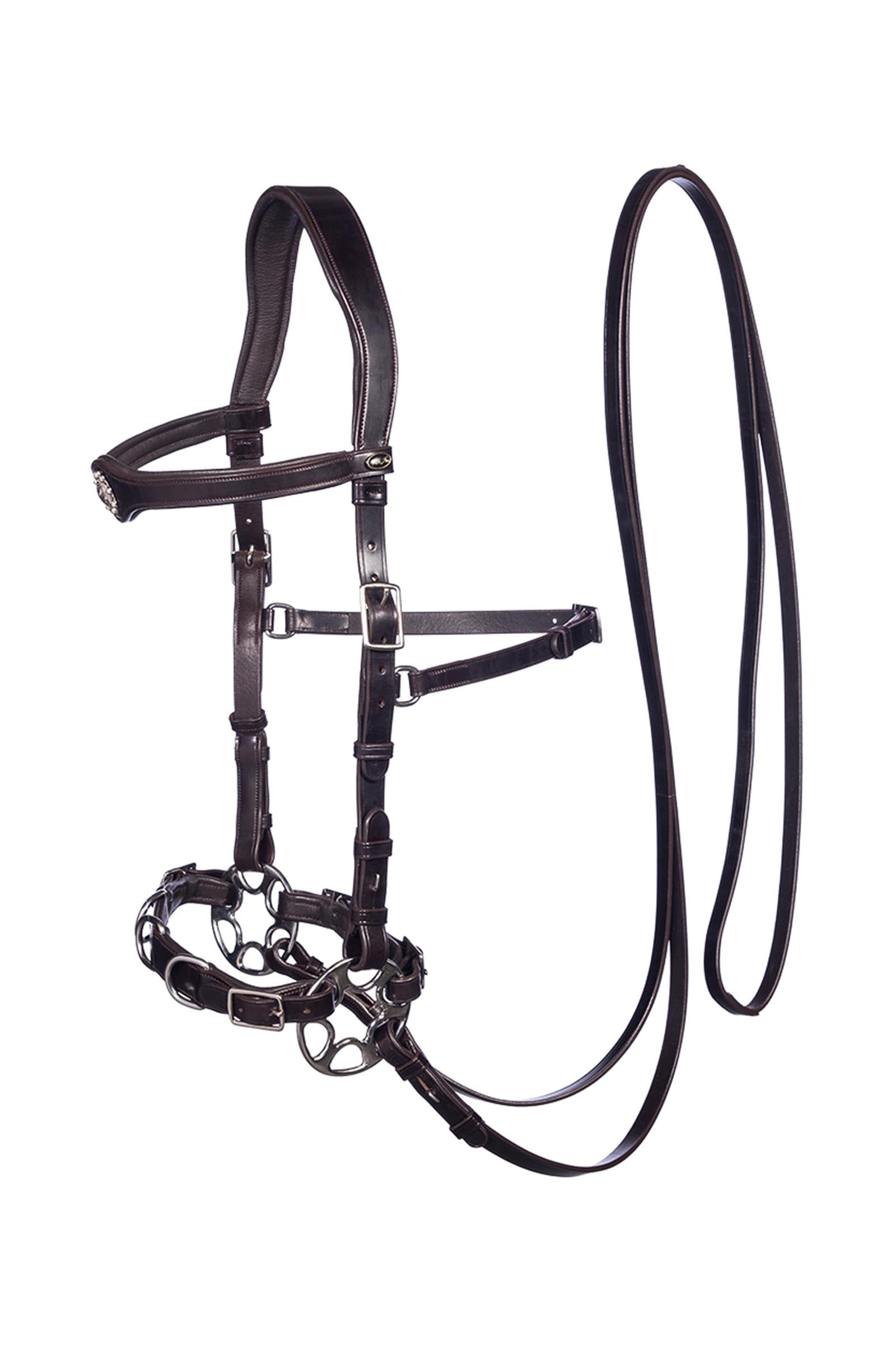F.R.A. Freedom Riding Articles Caval Compl. Cavemore Bridle (Syst.2) w/ Scissors & Reins Bridles & Reins