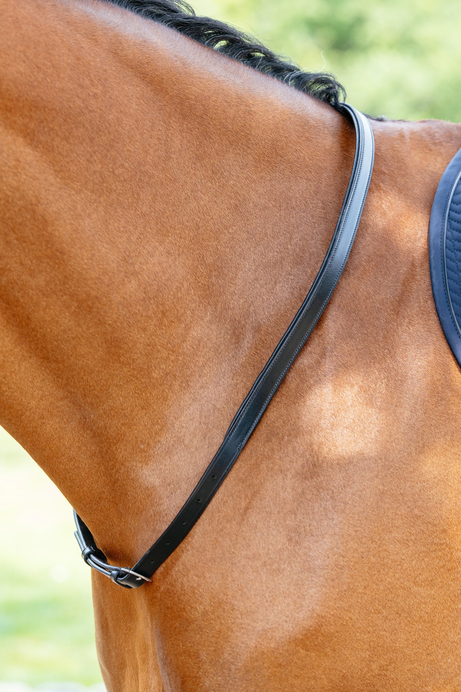 LeMieux Leather Neck Strap Bridles & Reins