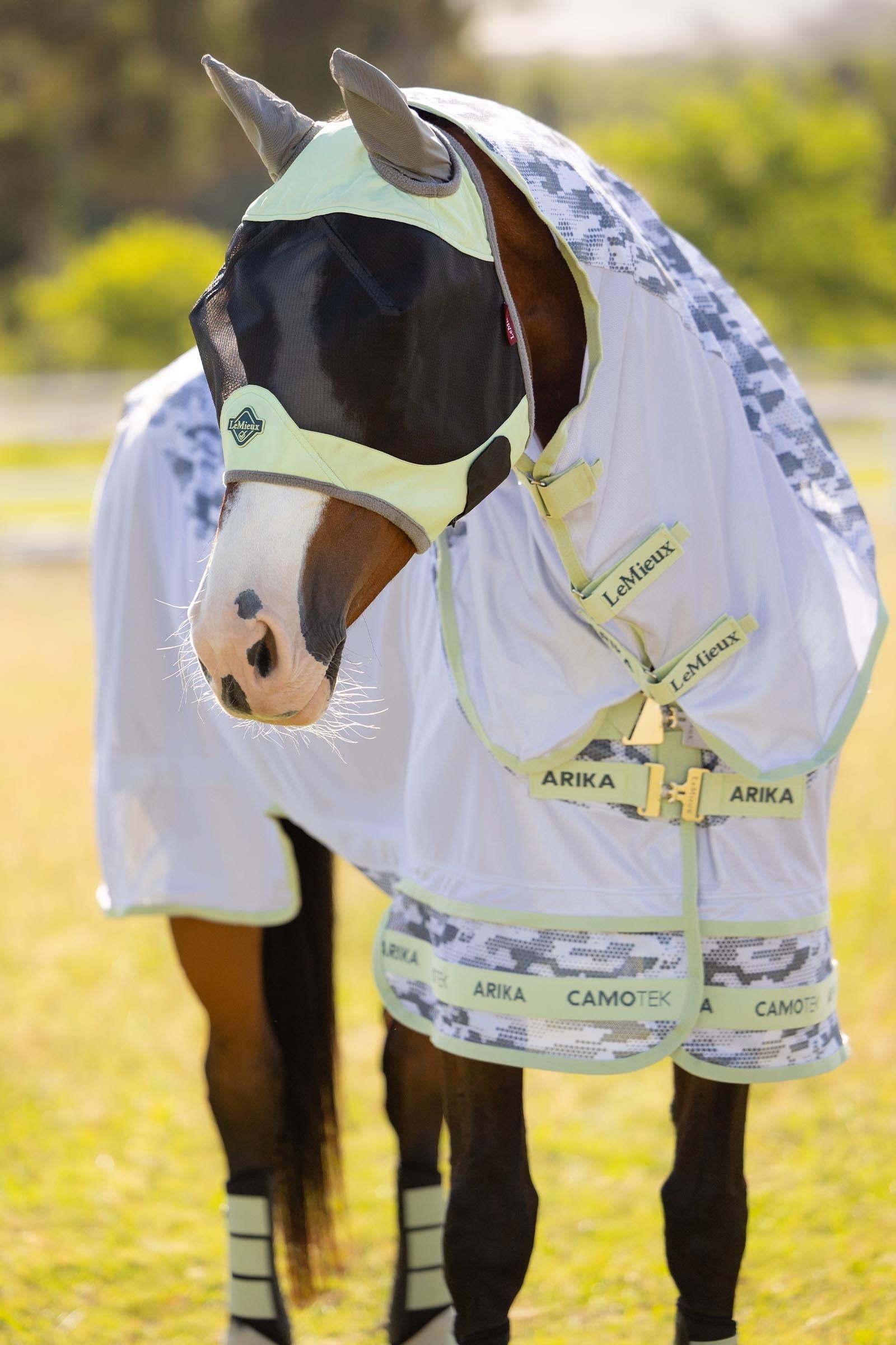 LeMieux Visor-Tek Half Fly Mask Antifly Protection for Horses