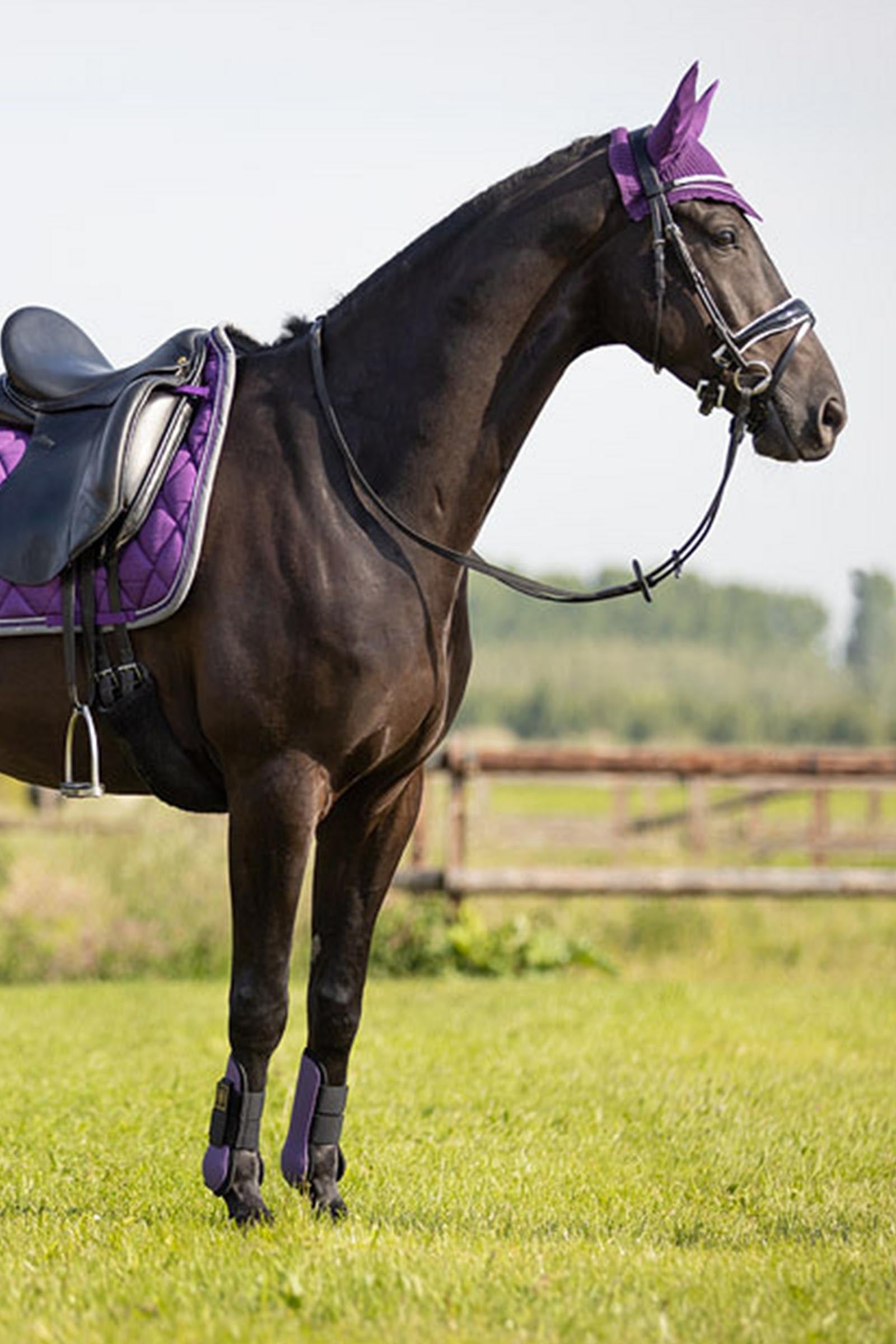 BR Event Tendon Boots Leg & Hoof Protection