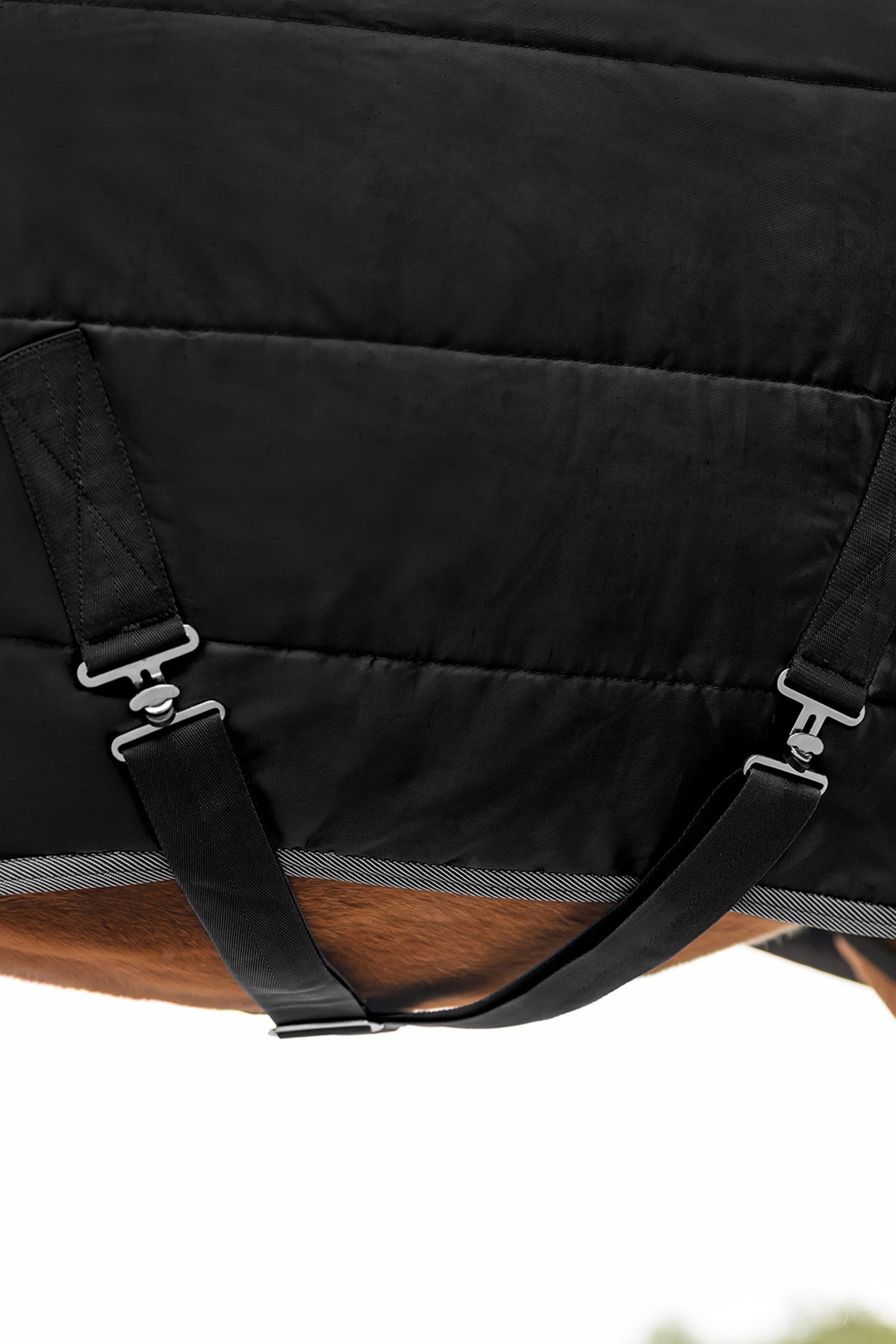 Waldhausen ECONOMIC 420D Stable Rug, 300 g Horse Rugs