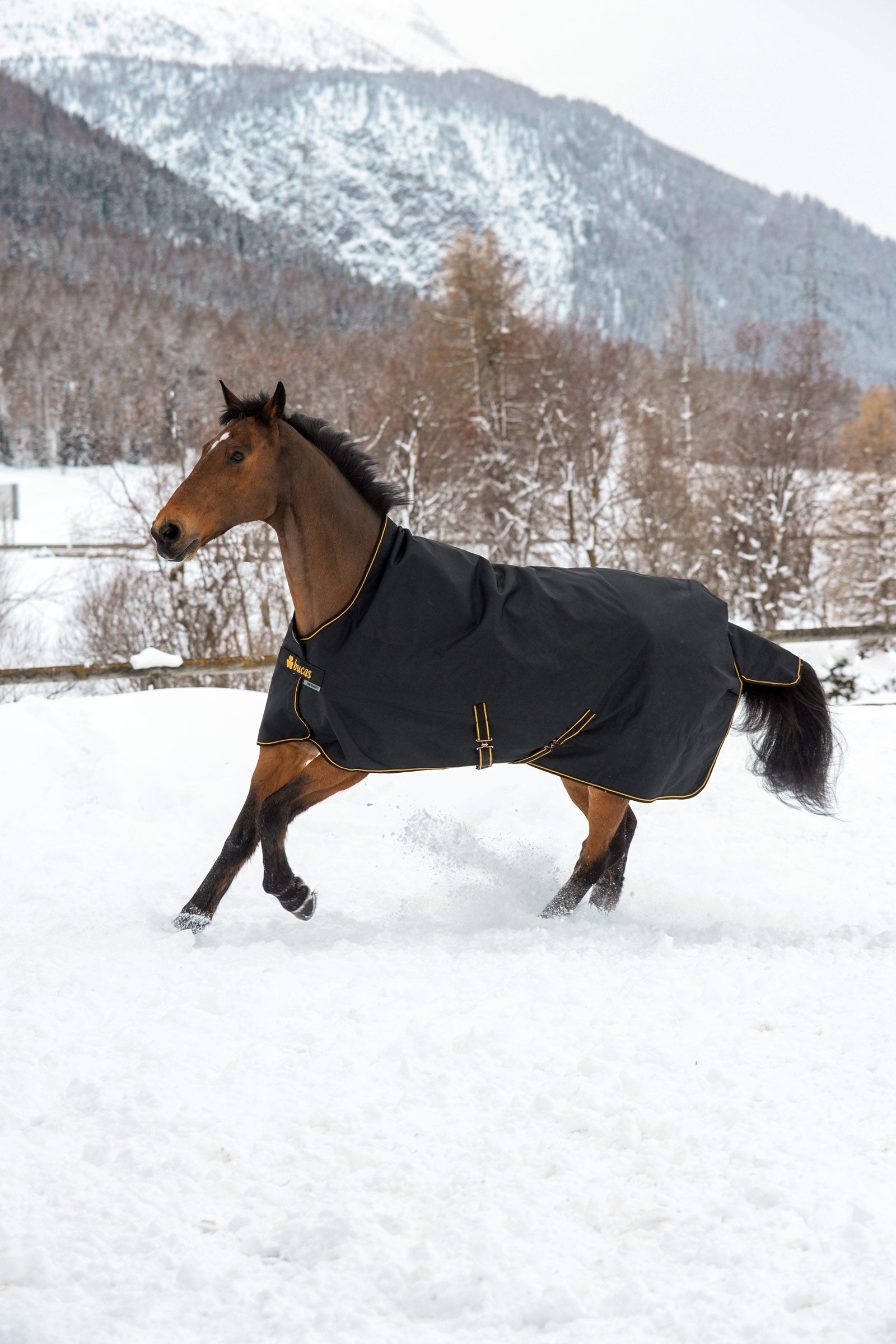 Bucas Irish Turnout Rug with High Neck, 300g Horse Rugs