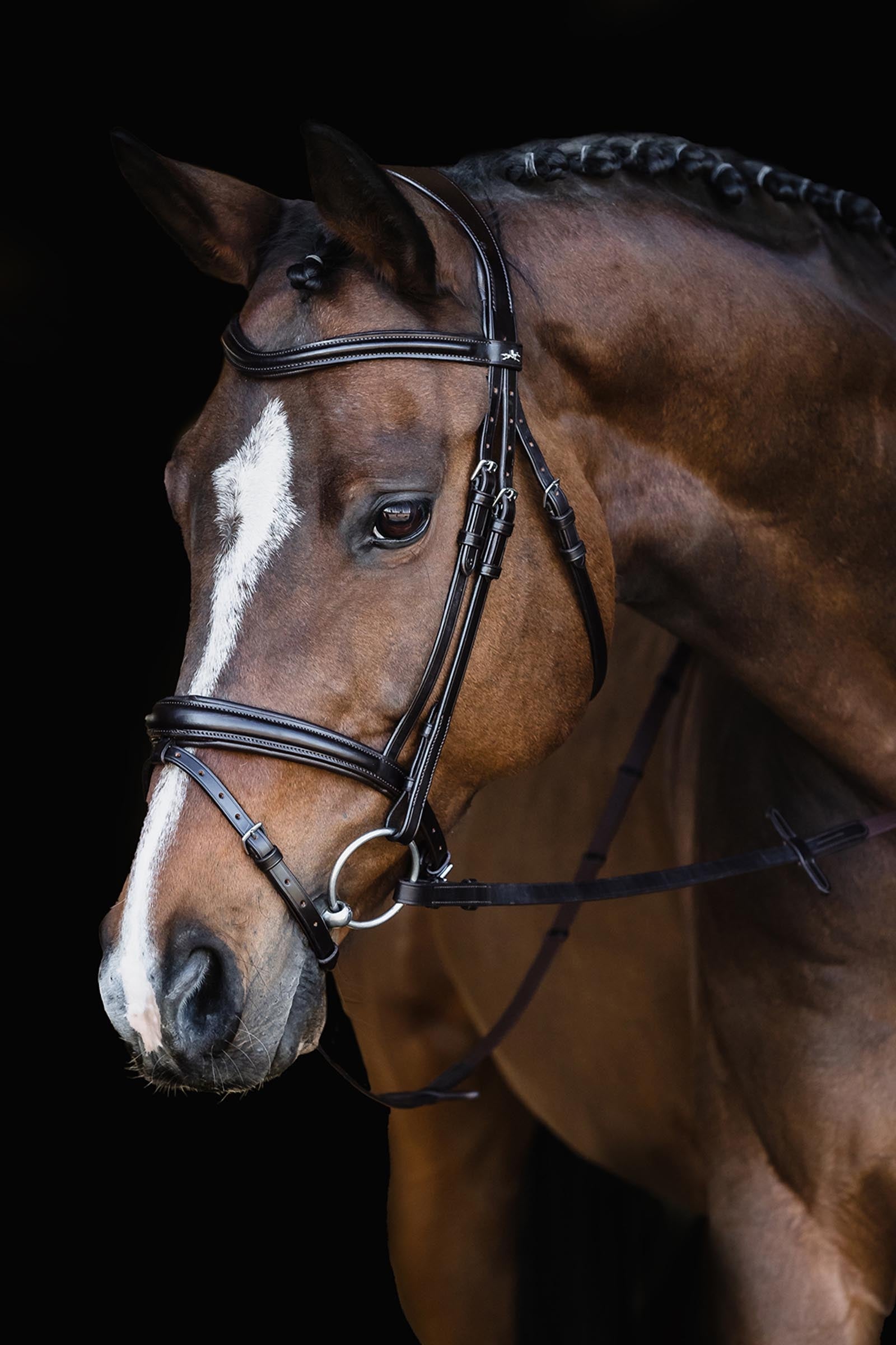Schockemöhle Sports Schockemoehle Sports SP Monza Bridle Bridles & Reins