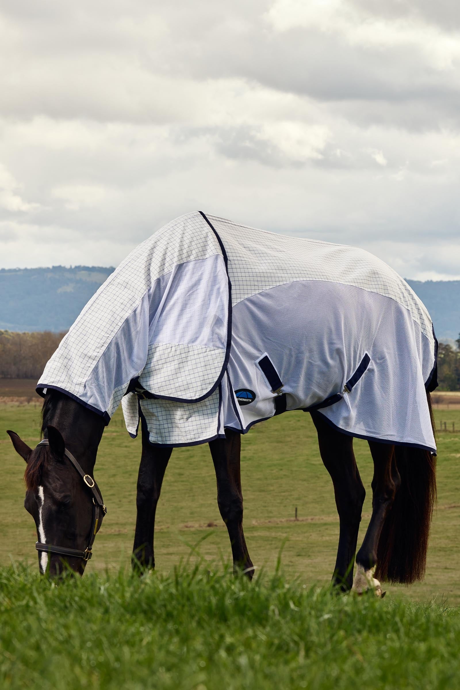 Weatherbeeta Airstream Combo W. Fixed Neck, 0g Horse Rugs
