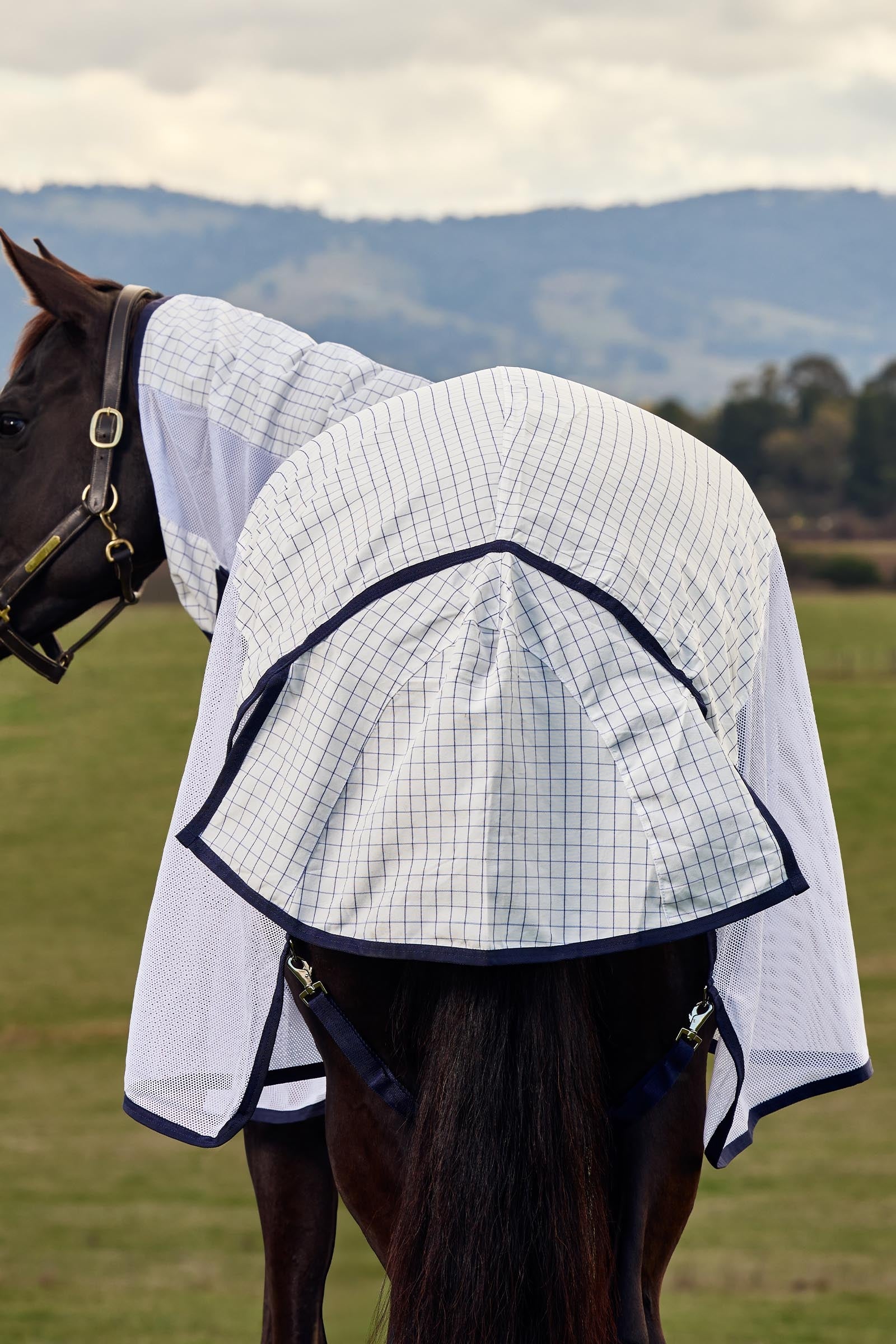 Weatherbeeta Airstream Combo W. Fixed Neck, 0g Horse Rugs