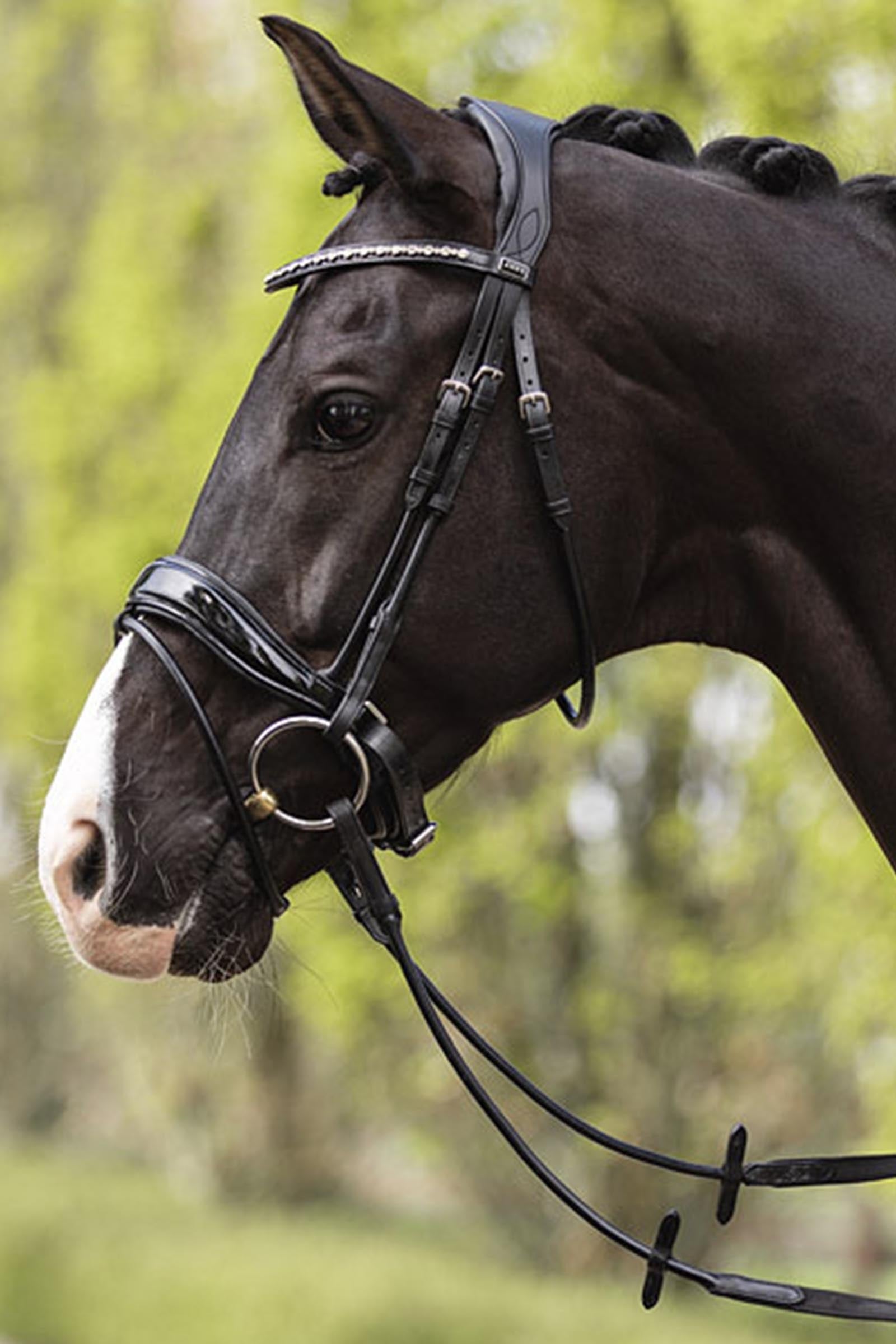 Anky ANKY Anatomic Comfort Fit Bridle With Pull Back Double Bridles & Reins