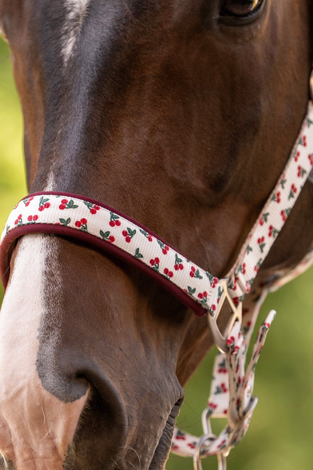 Waldhausen Cherry Halter Halters & Leads