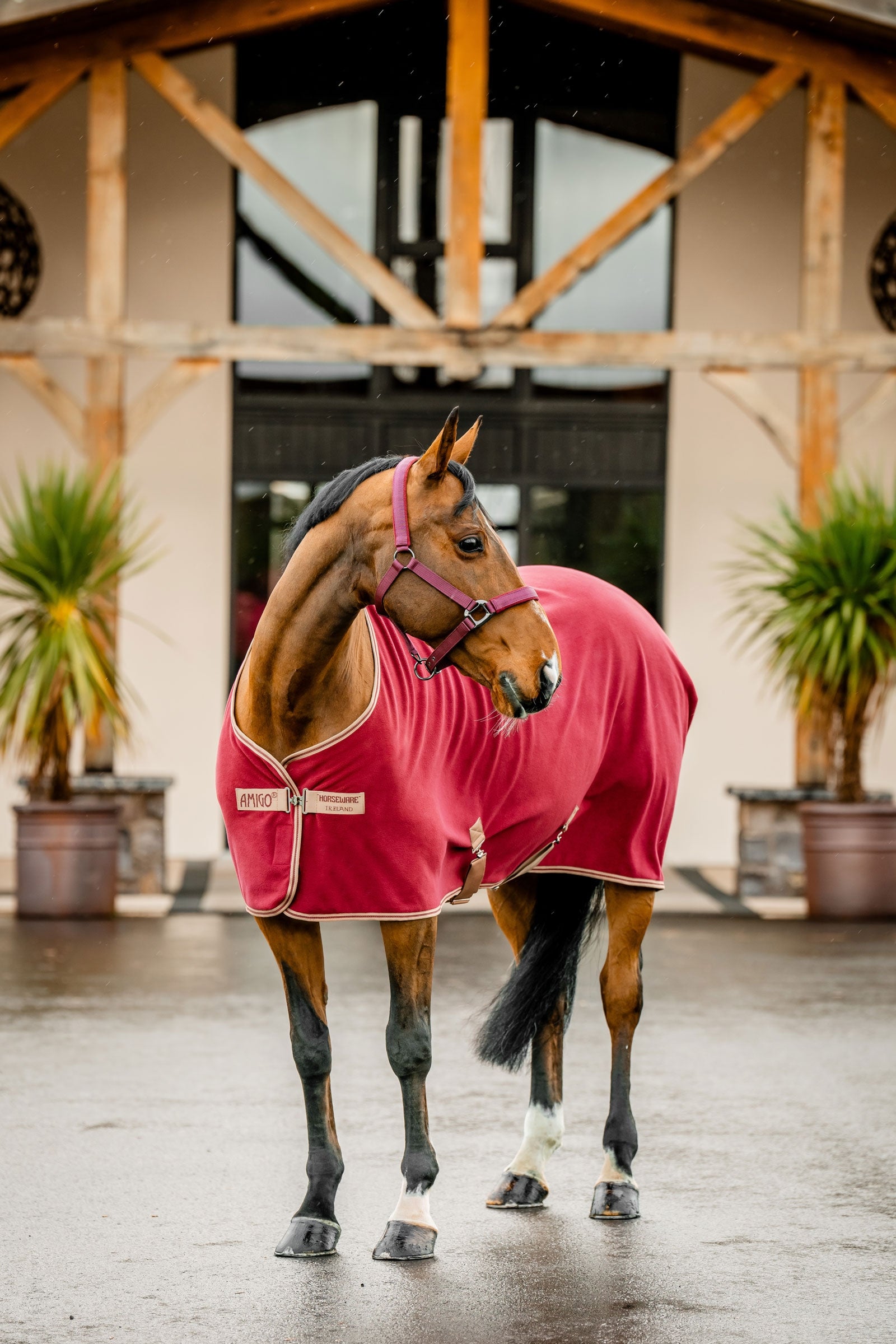 Horseware Amigo Fleece Cooler Loimet