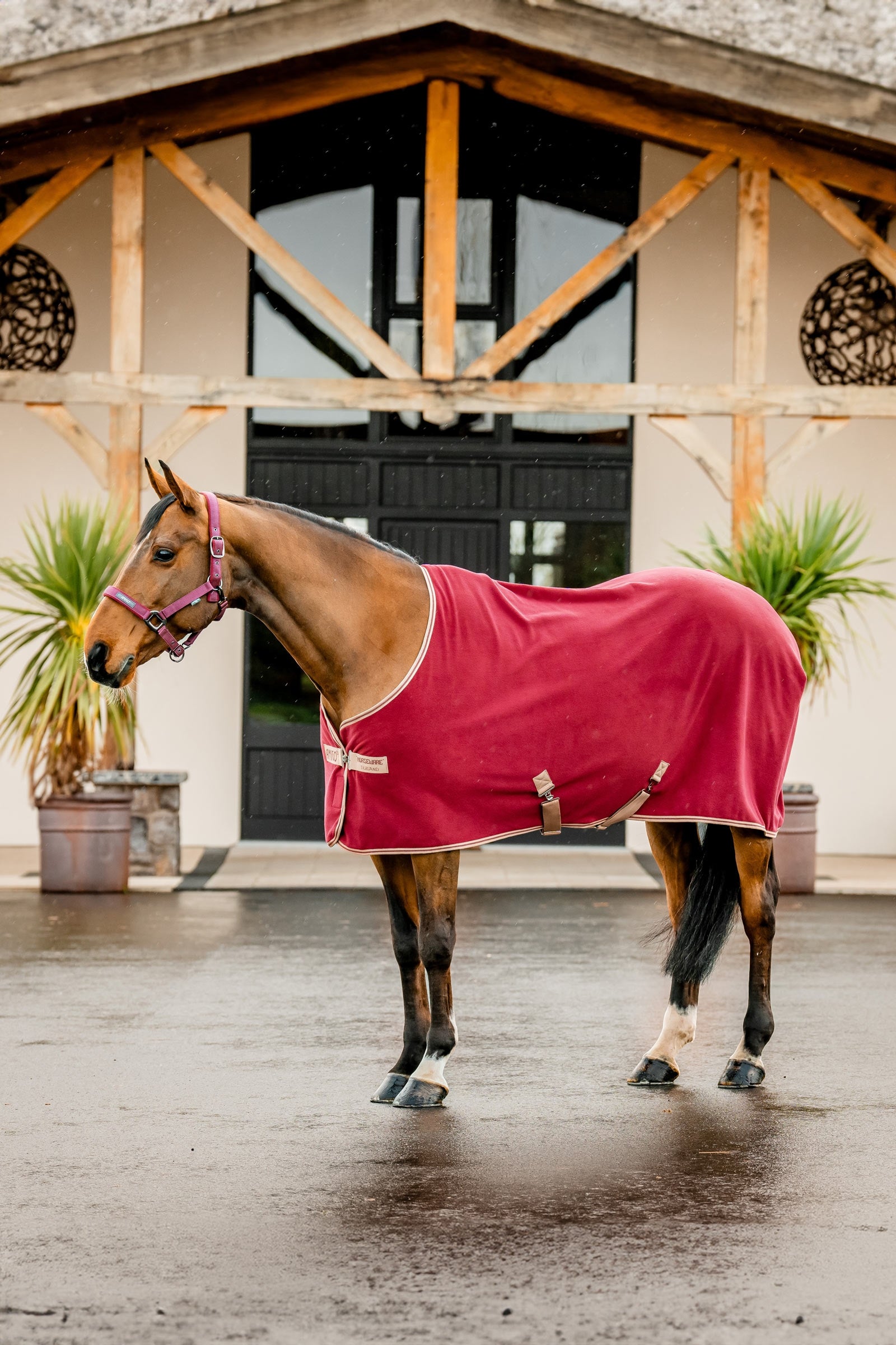 Horseware Amigo Fleece Cooler Horse Rugs