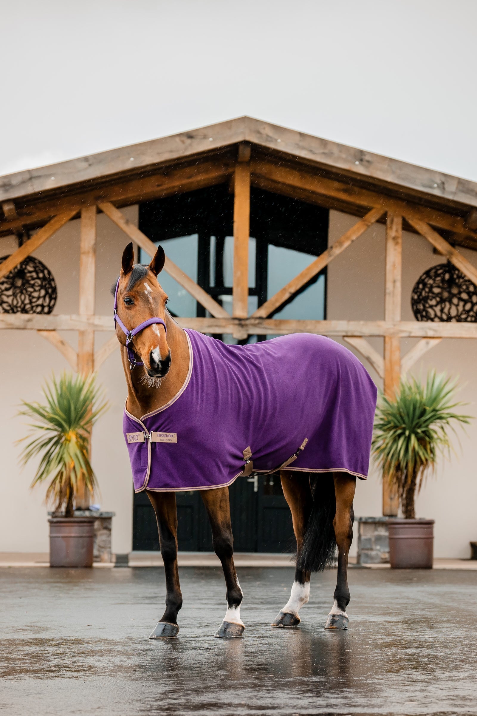 Horseware Amigo Fleece Cooler Loimet