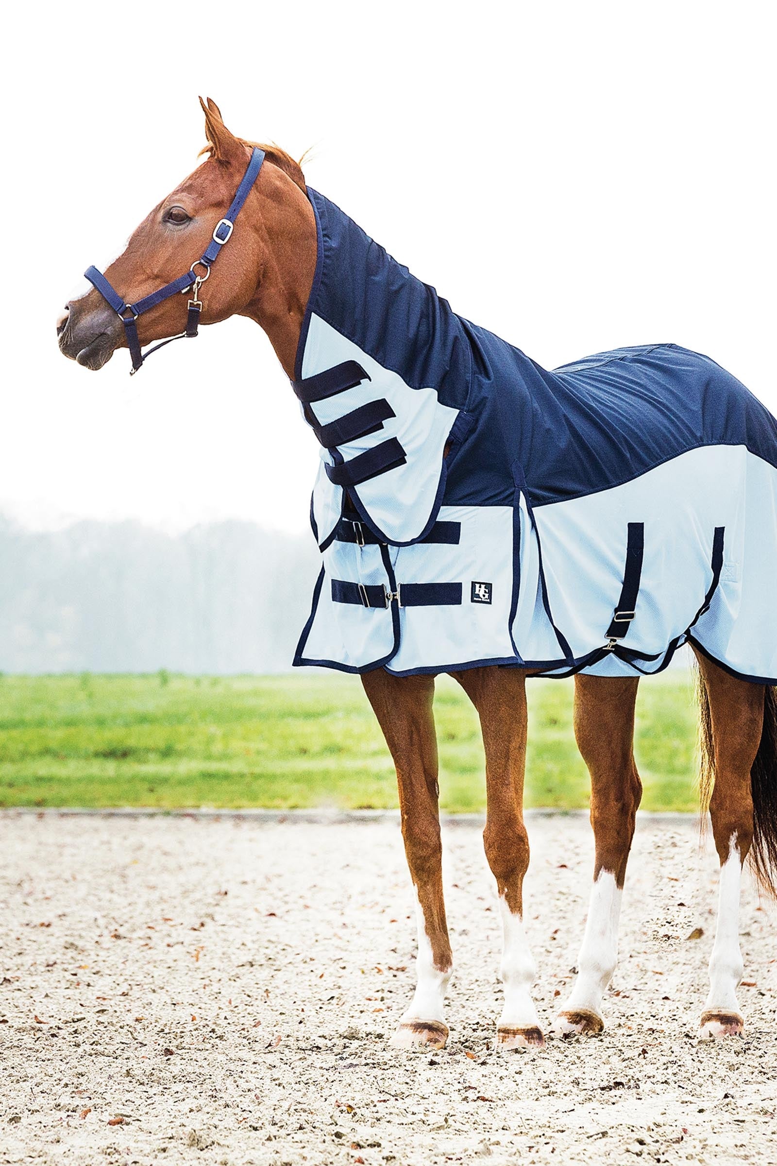 Horse Guard HorseGuard Aiman Rain & Insect Rug Loimet