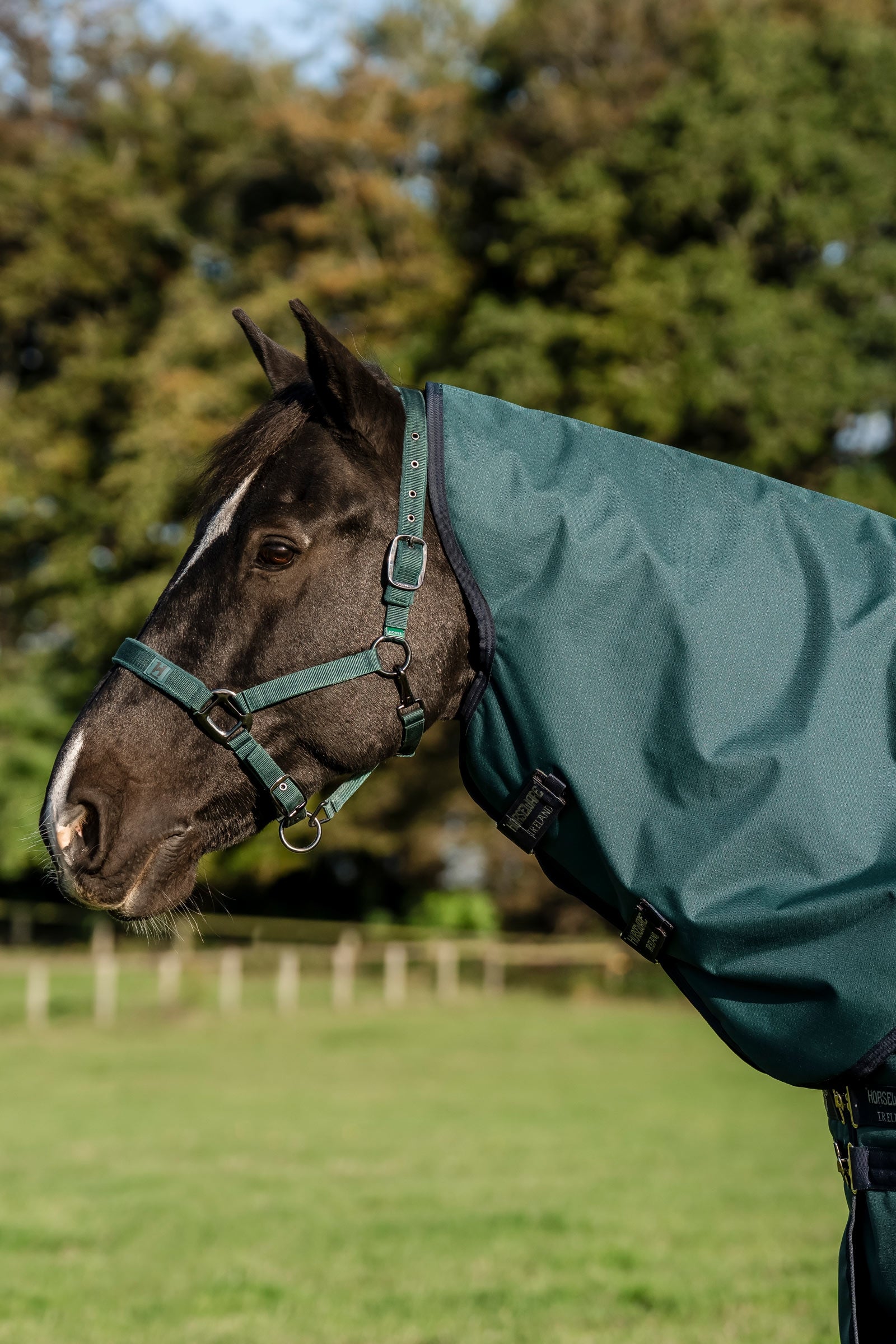 Horseware Amigo Ripstop 900D Plus Pony Turnout Rug, 0 g Horse Rugs